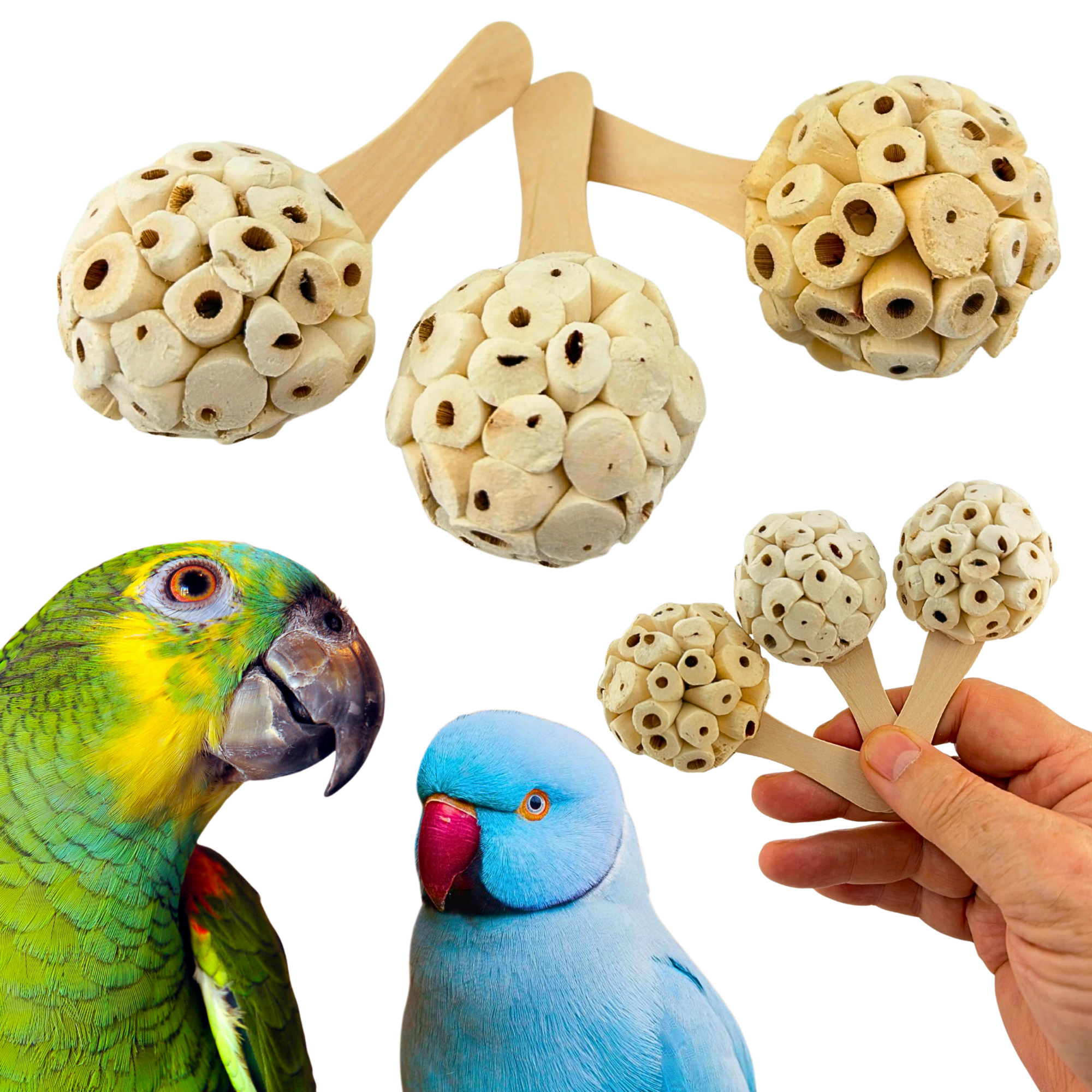 2964 PK3 Natural Sola Pop - Bonka Bird Toys