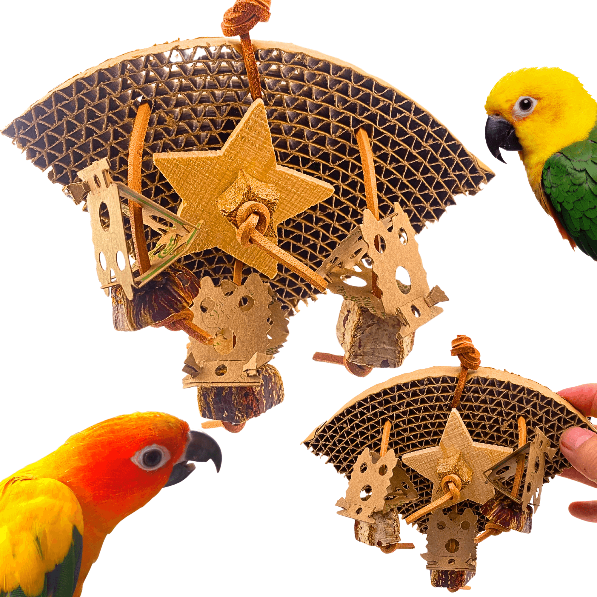1418 Natural Chomp Slice - Bonka Bird Toys