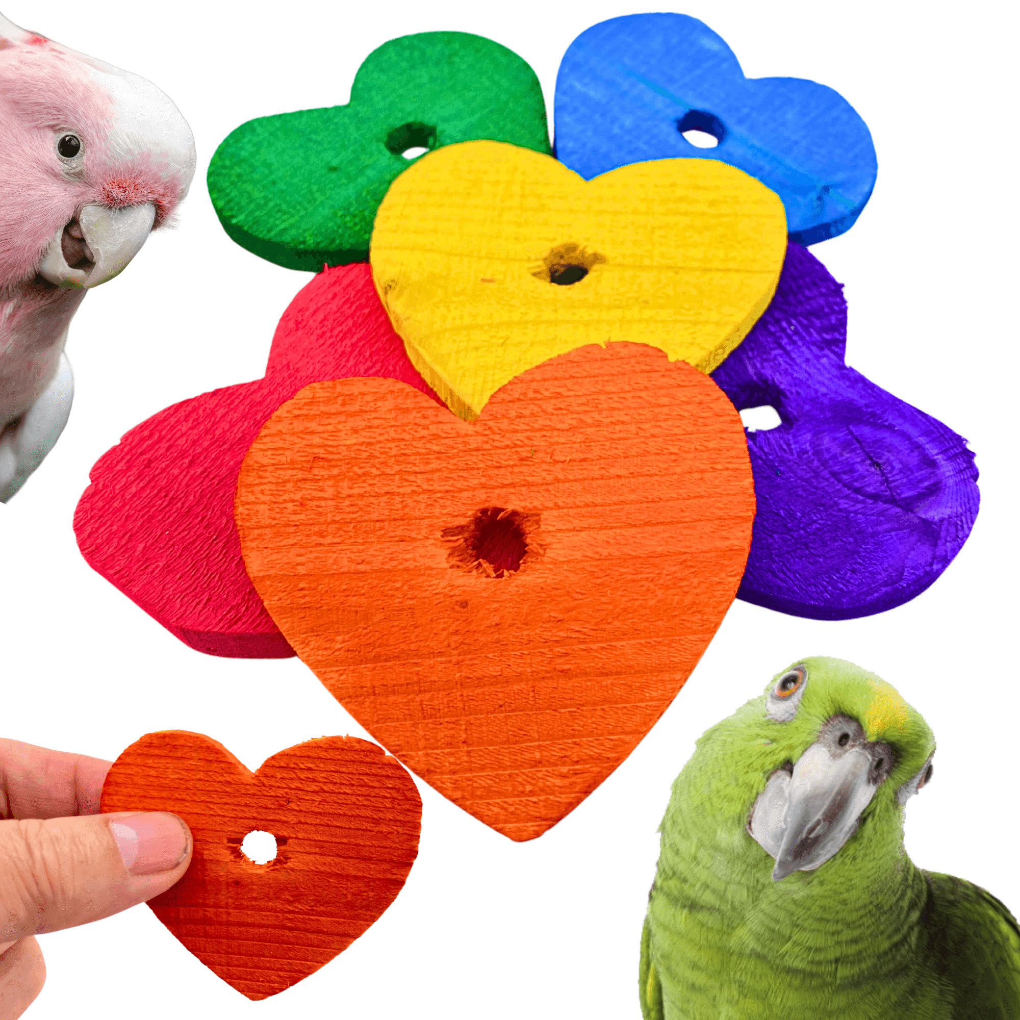 1165 Pk6 Colored 2.5" Wood Hearts - Bonka Bird Toys