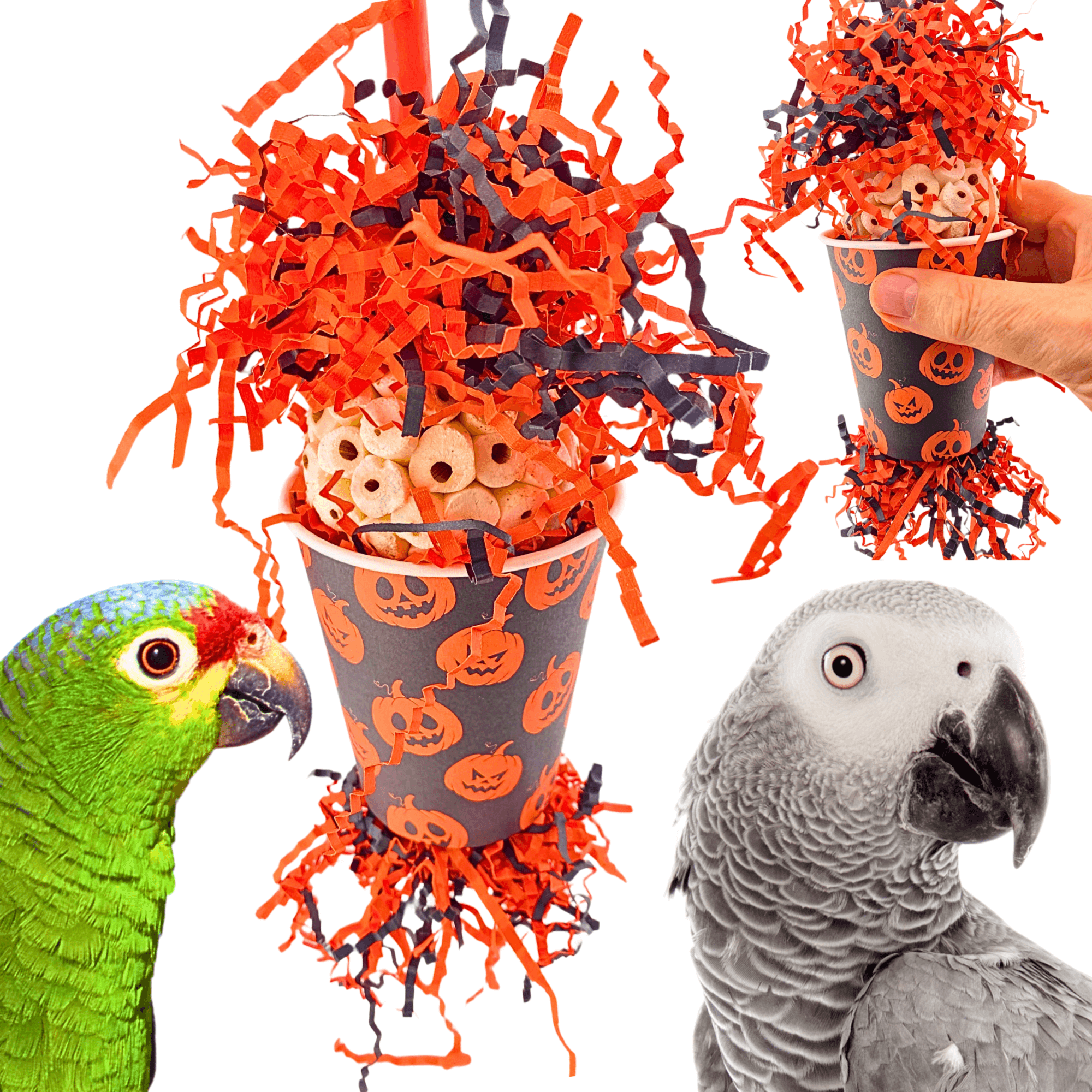 2868 Pumpkin Jumble - Bonka Bird Toys