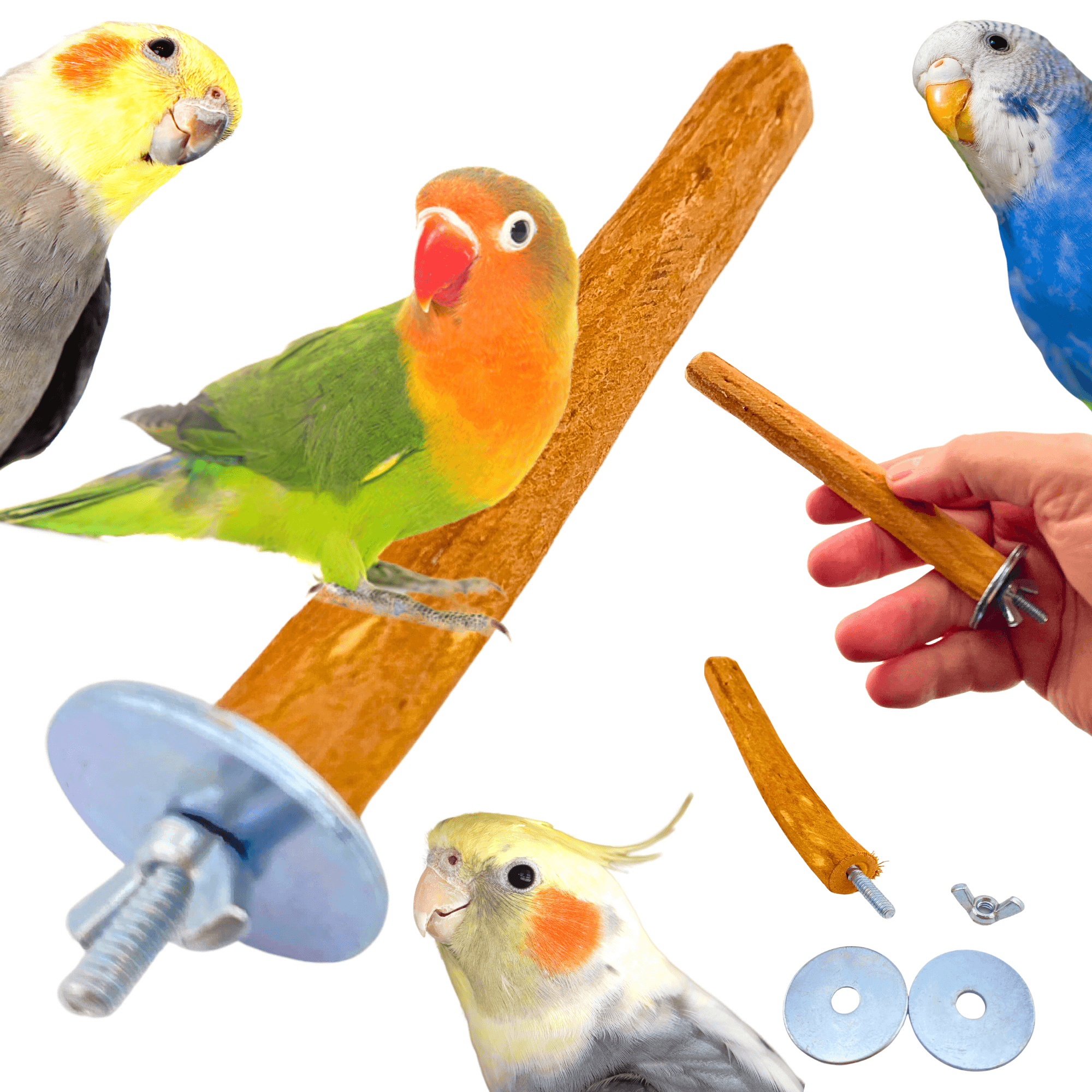 2984 Small Dragonwood Perch - Bonka Bird Toys