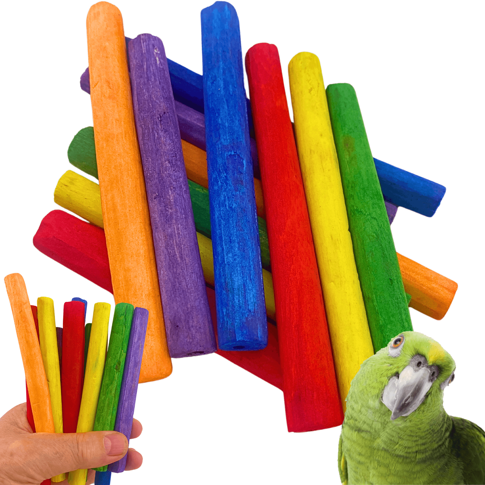 2638 Pk12 Thin Colored Sola Sticks - Bonka Bird Toys