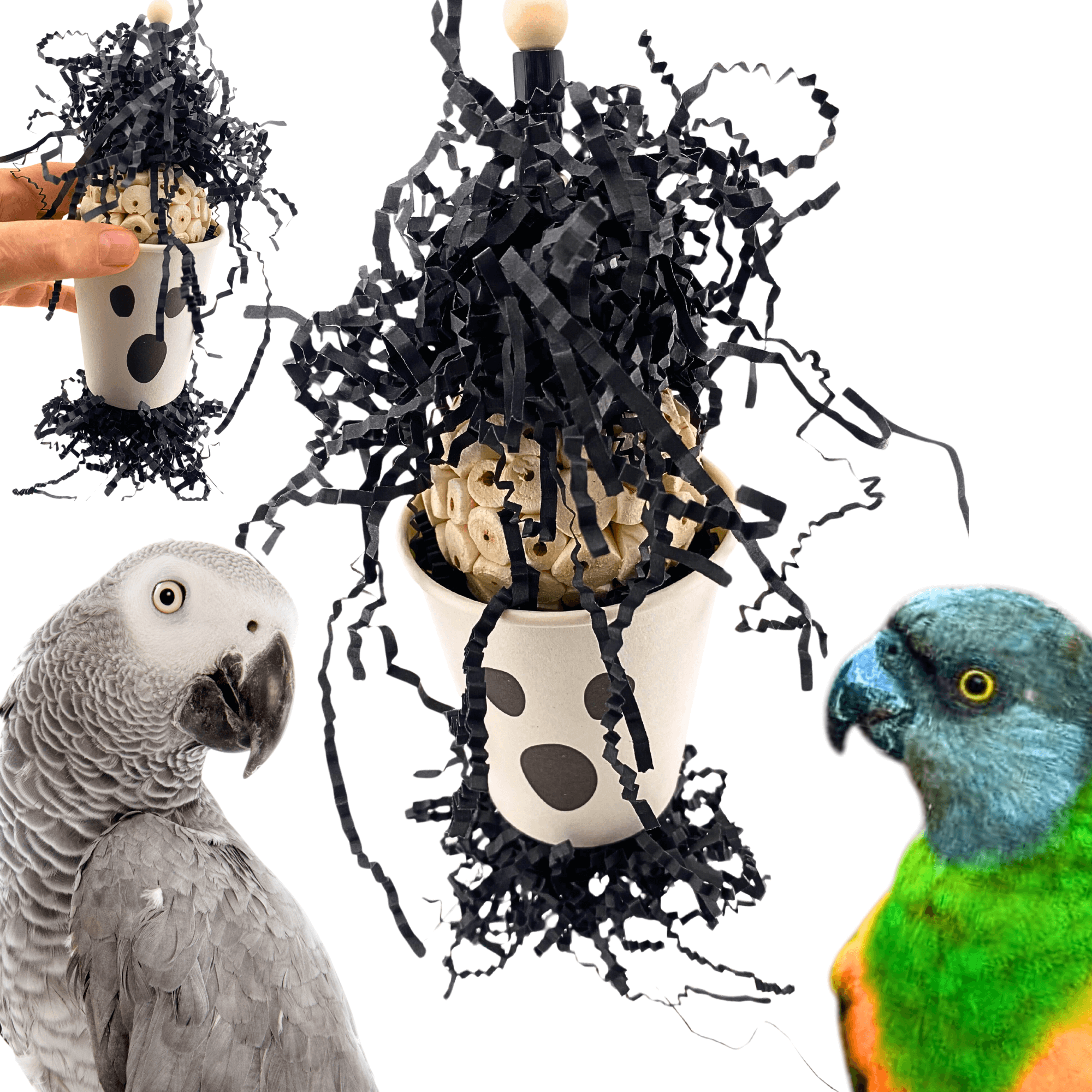 2872 Boo Ghost - Bonka Bird Toys