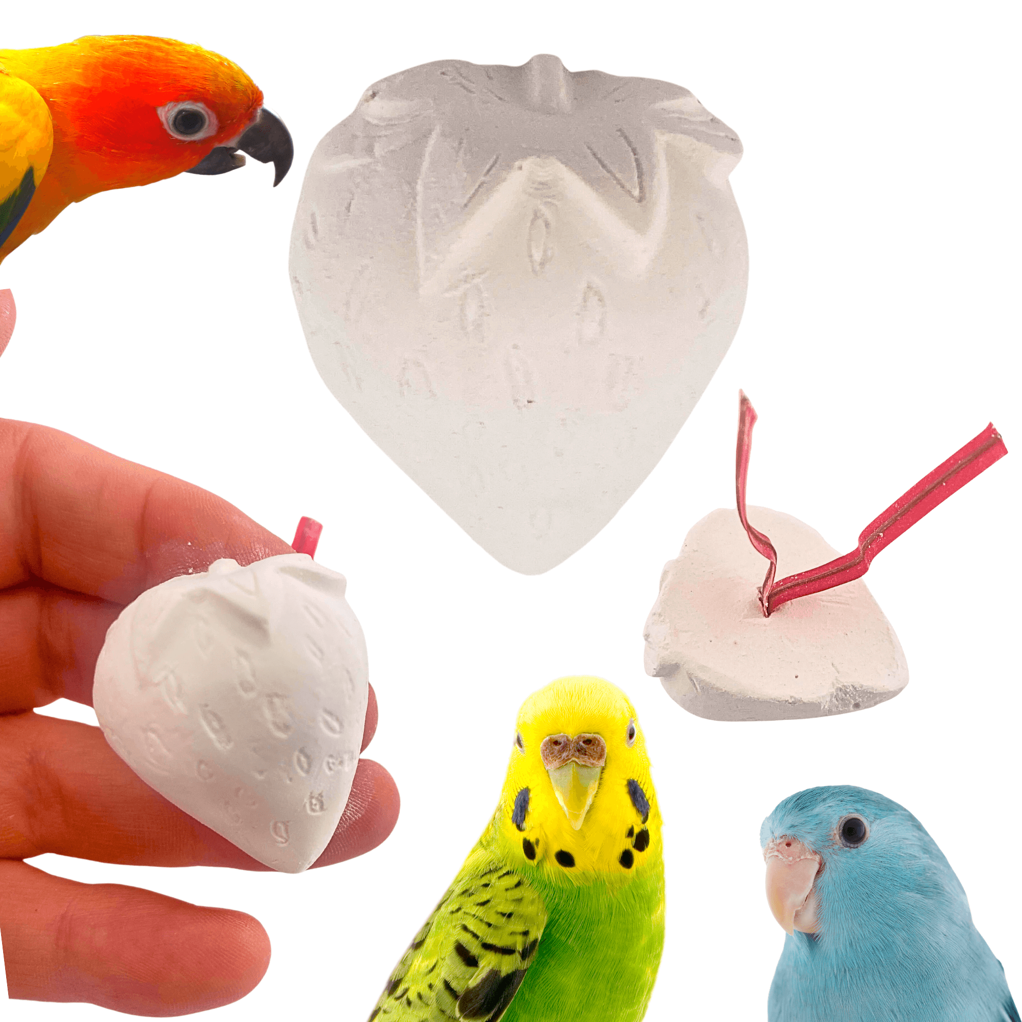 1443 Pk1 Mini Strawberry Calcium Treat - Bonka Bird Toys