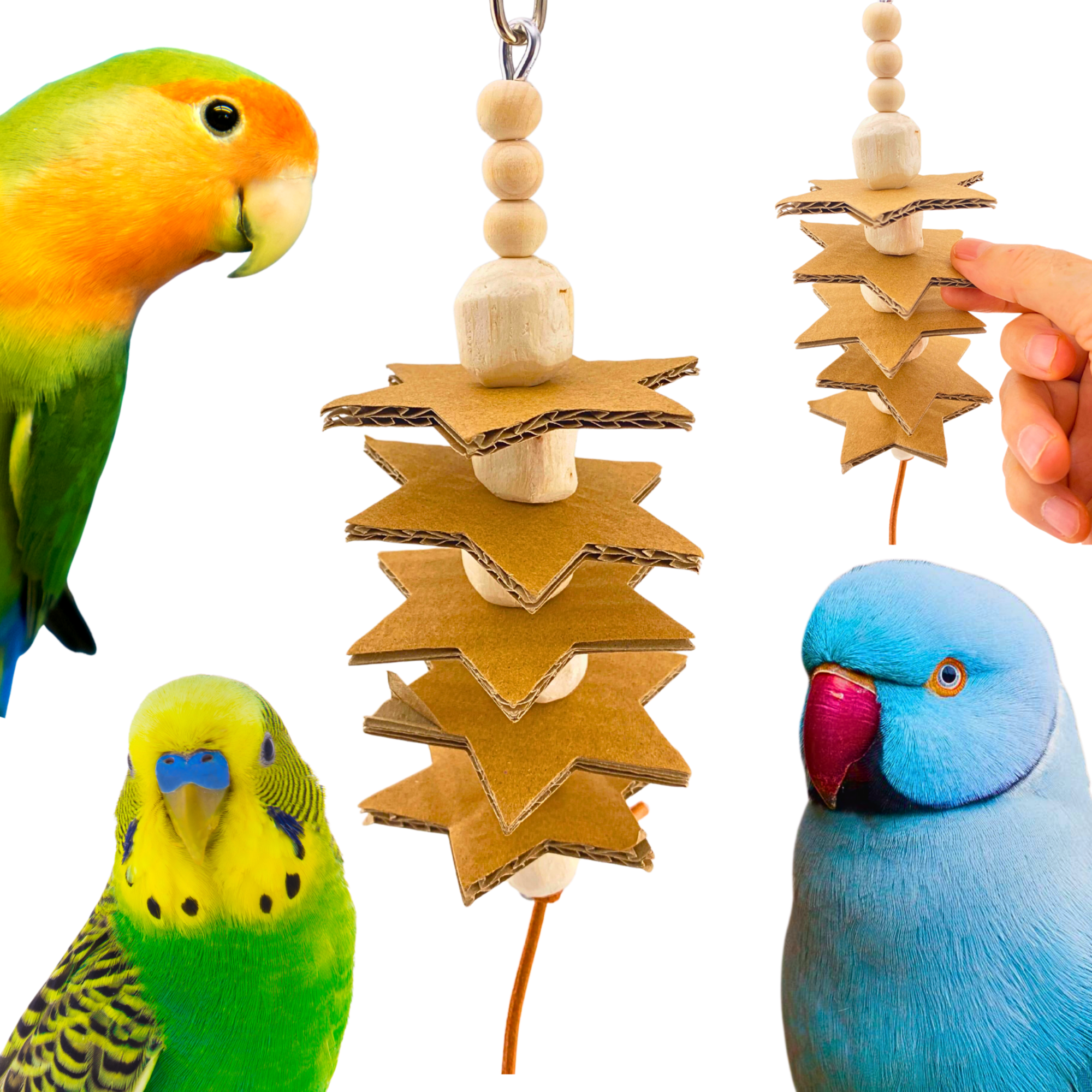 2123 Small Sola Star - Bonka Bird Toys