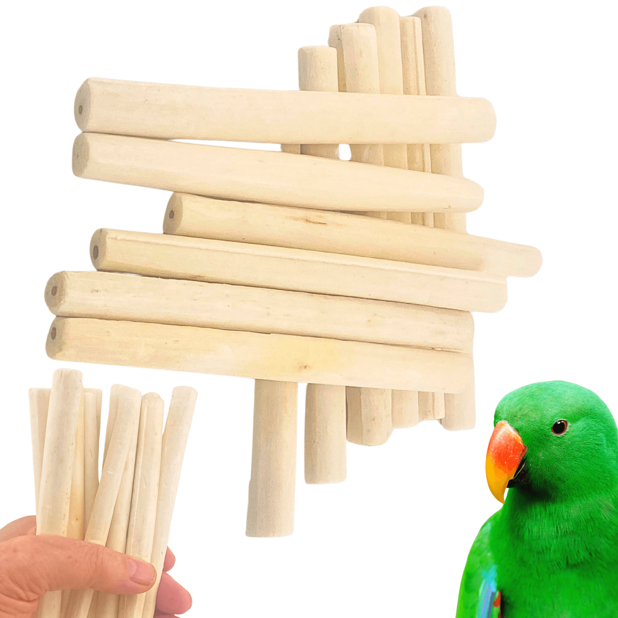 2637 Pk12 Thin Natural Sola Sticks - Bonka Bird Toys