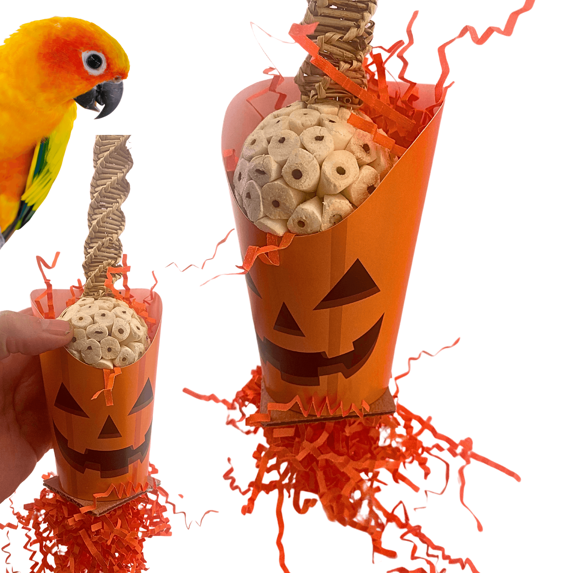 2705 Halloween Pumpkin Cup - Bonka Bird Toys