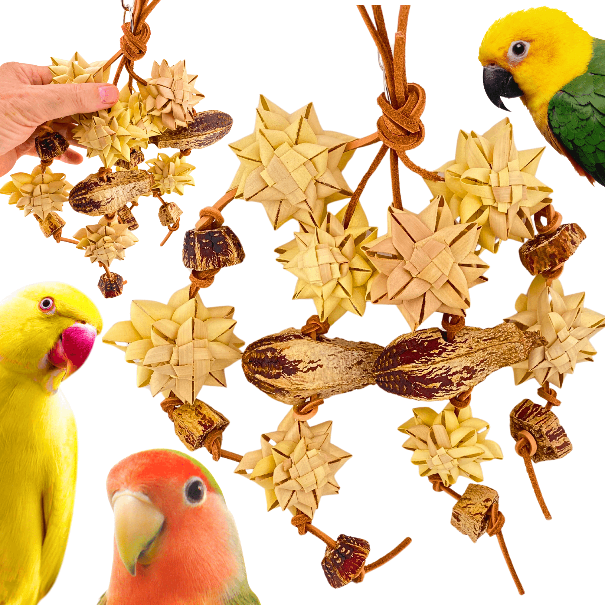 1061 Medium Palm & Pod Forage Cluster - Bonka Bird Toys