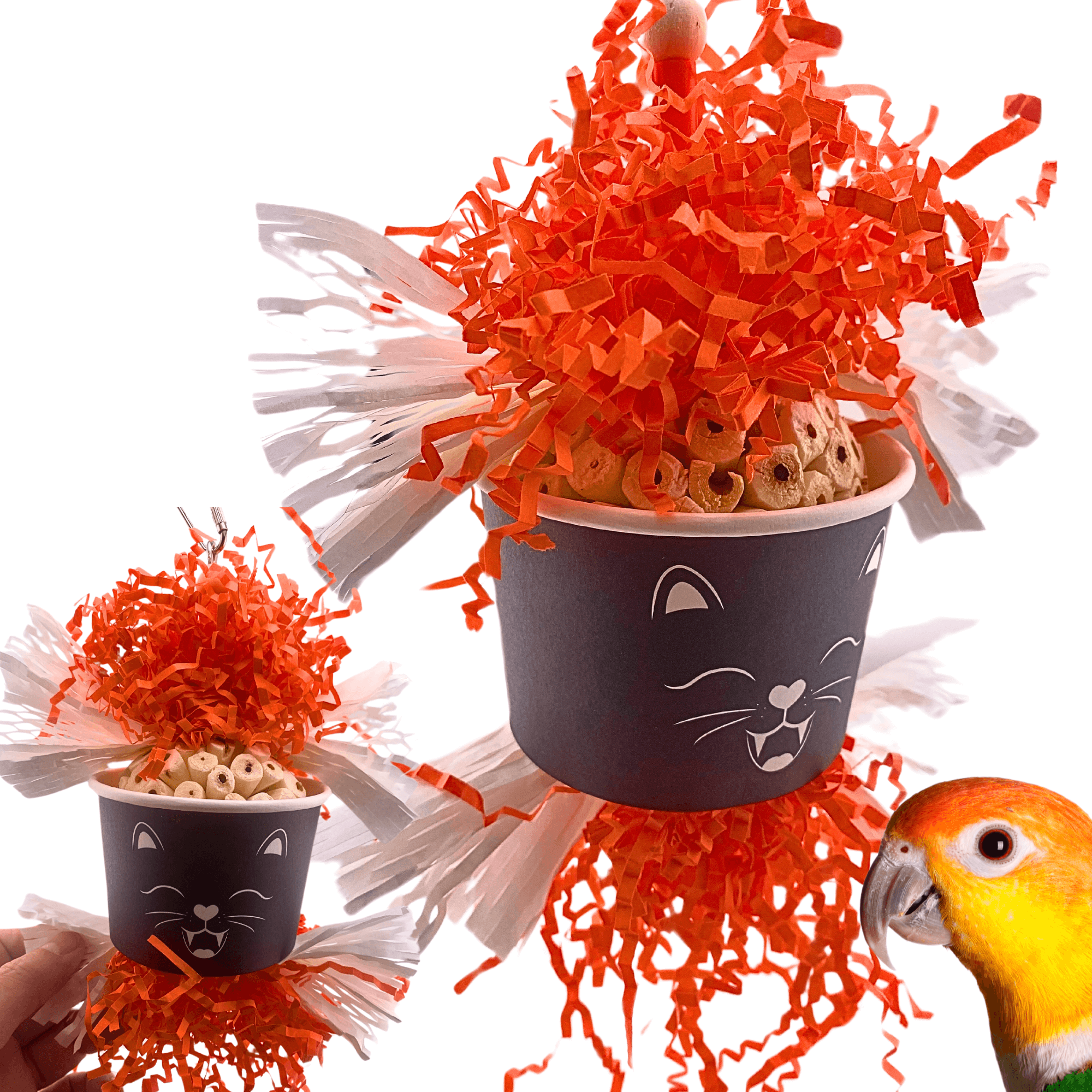 2714 Halloween Spooky Cat Dish - Bonka Bird Toys