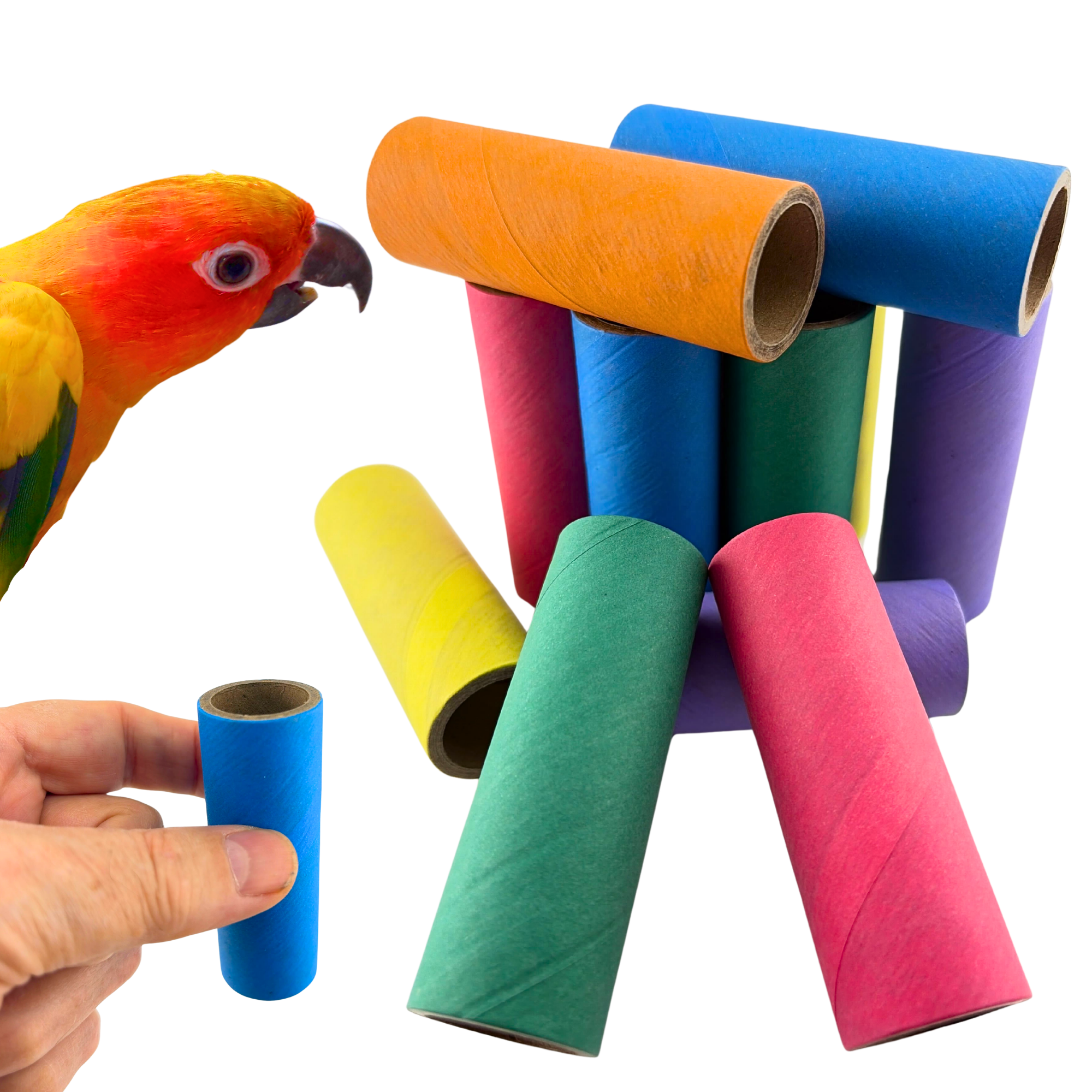 2781 Pk12 Bagel Tubes - Bonka Bird Toys