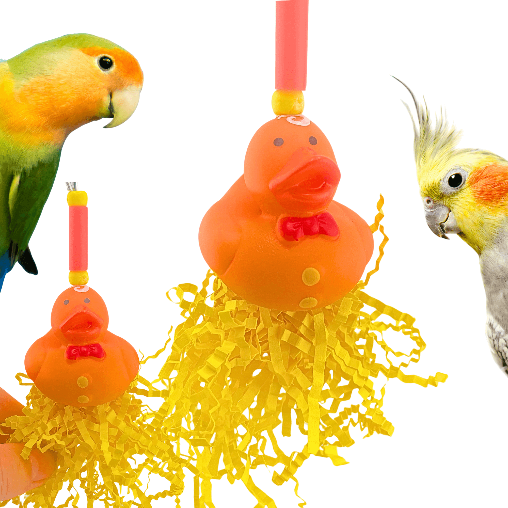 2725 Holiday Turkey Duck - Bonka Bird Toys