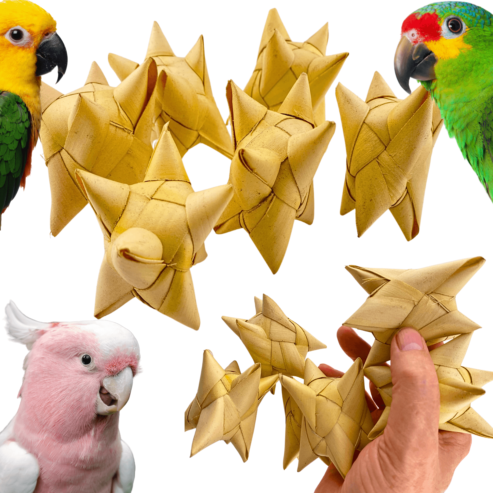 3320 Pk6 Palm Satellites - Bonka Bird Toys