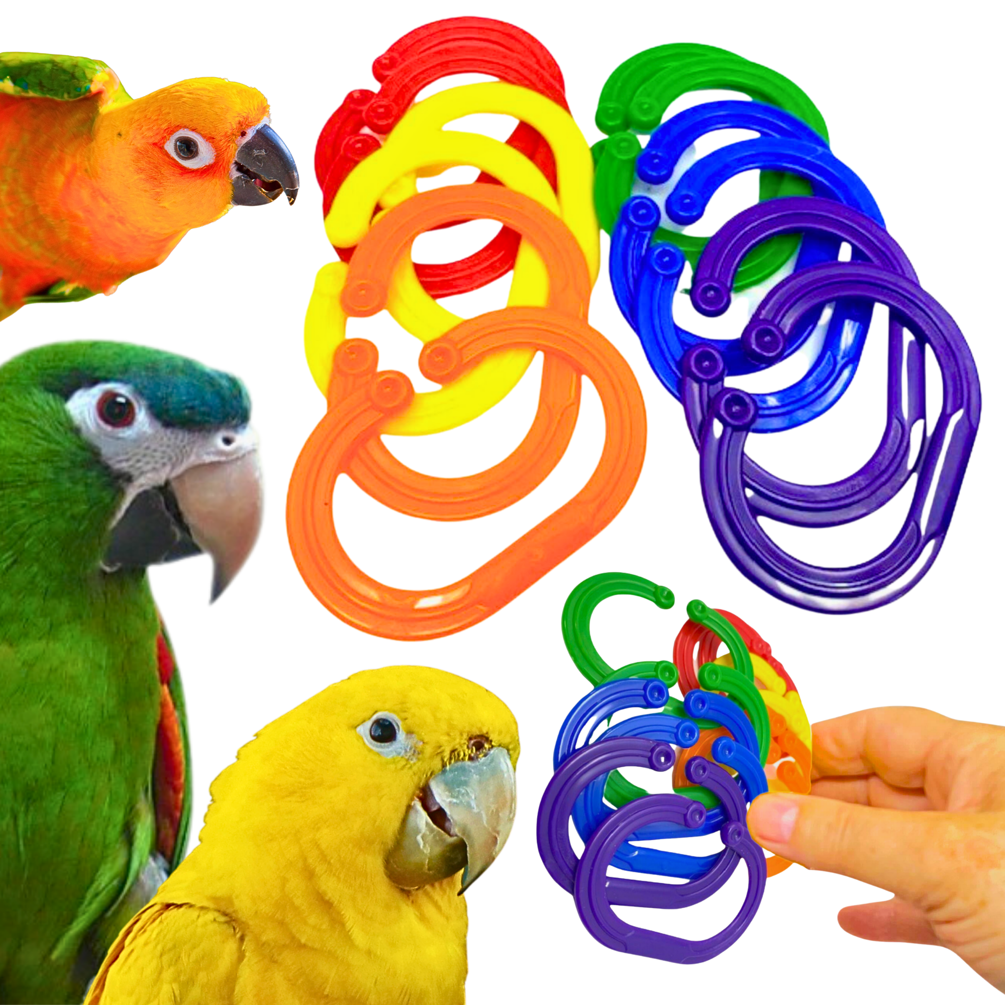 Large Plastic Jumbo "C" Links - Bonka Bird Toys