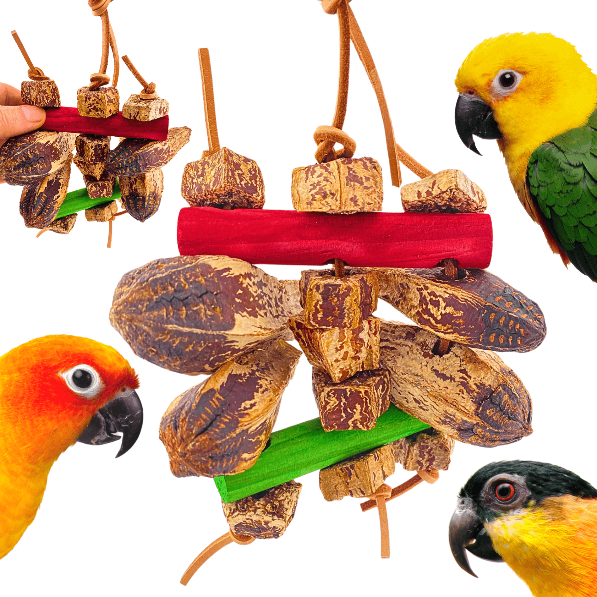2755 Mahogany Chomp - Bonka Bird Toys