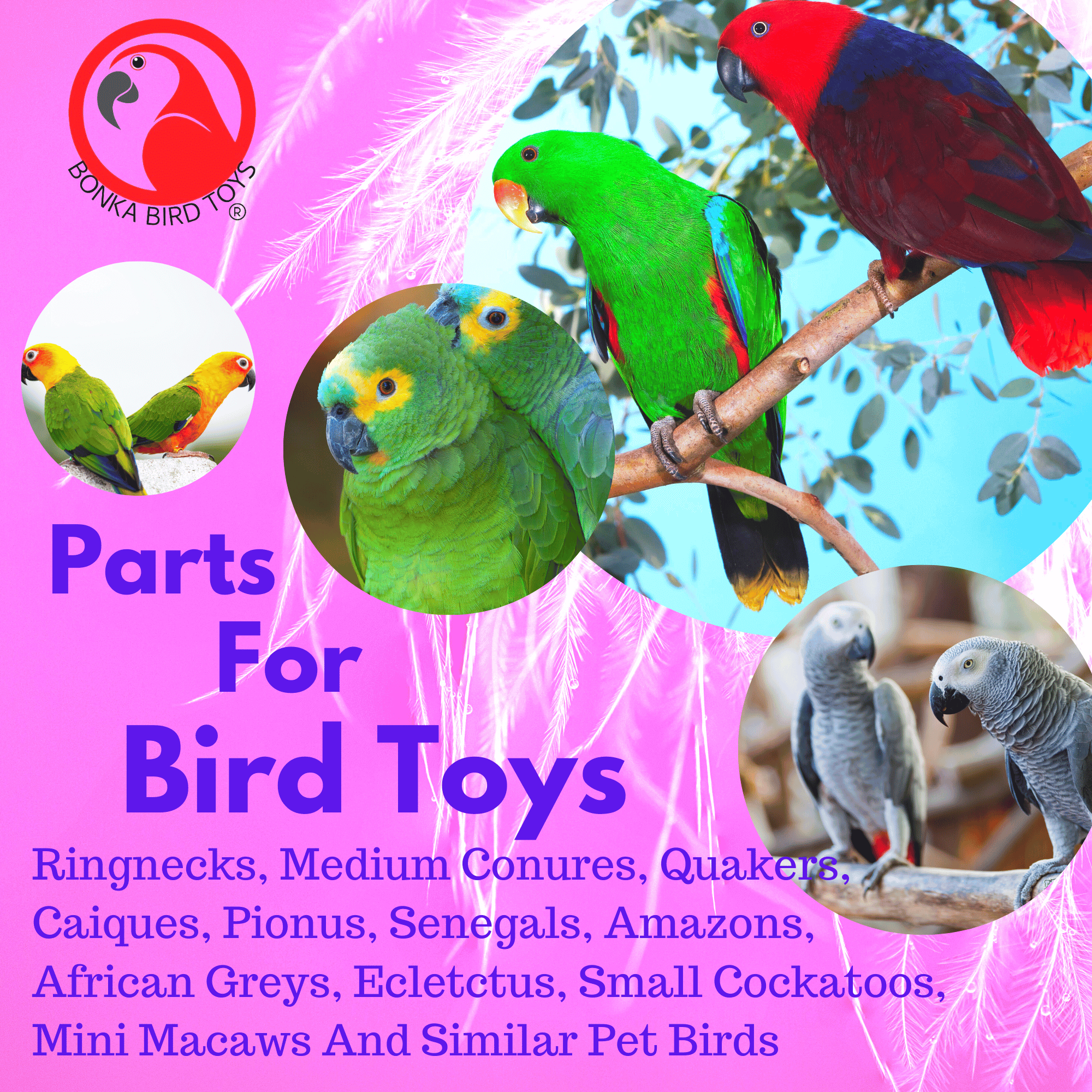 Natural and Colored Ice Cream Sticks - Bonka Bird Toys
