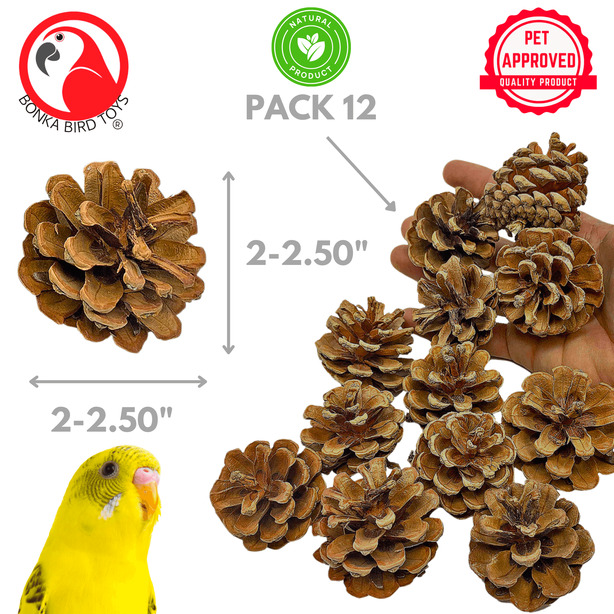 3284 Pk12 Natural Pinecones - Bonka Bird Toys