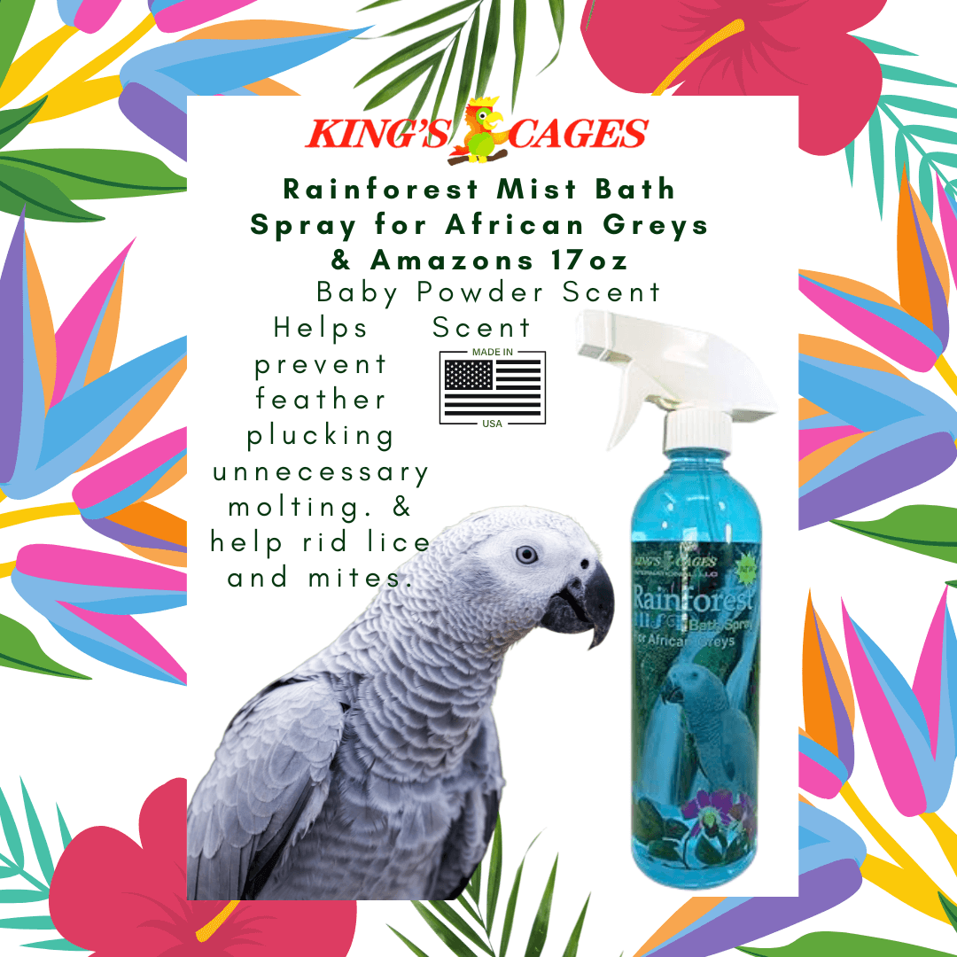 Kings Cages Rainforest Mist 17oz Bath Spray African Greys - Bonka Bird Toys