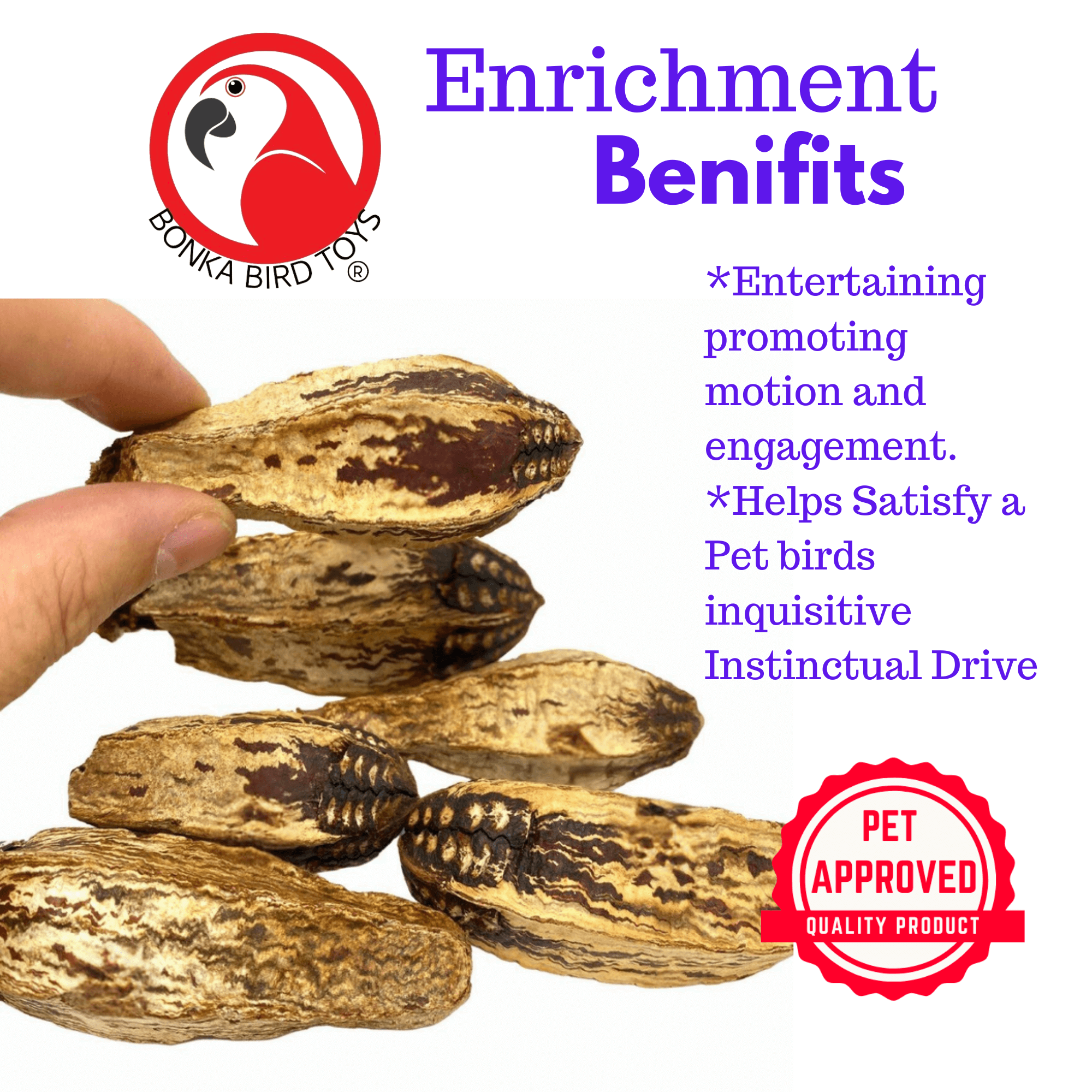 2449 Pk6 Mahogany Pods - Bonka Bird Toys