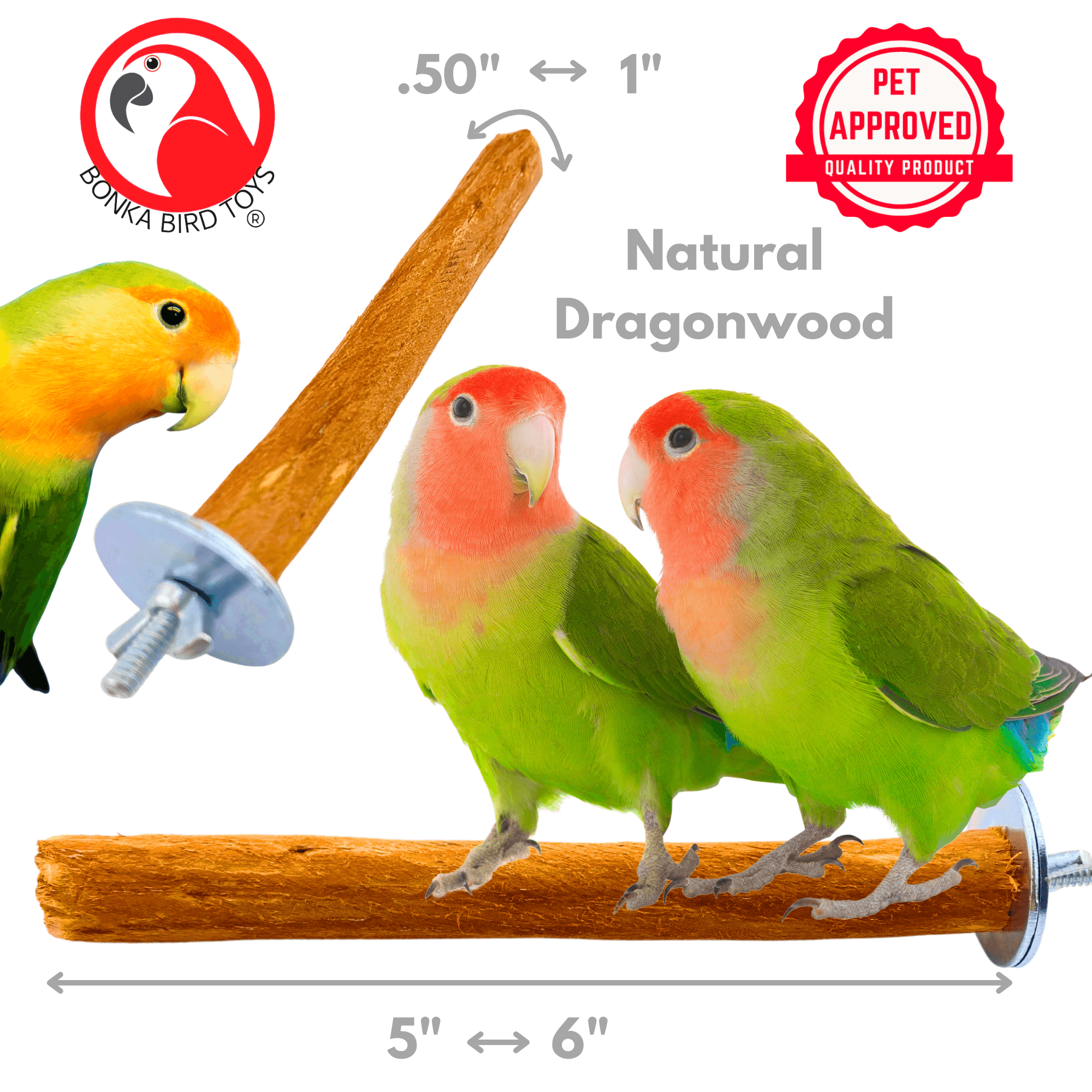 2984 Small Dragonwood Perch - Bonka Bird Toys