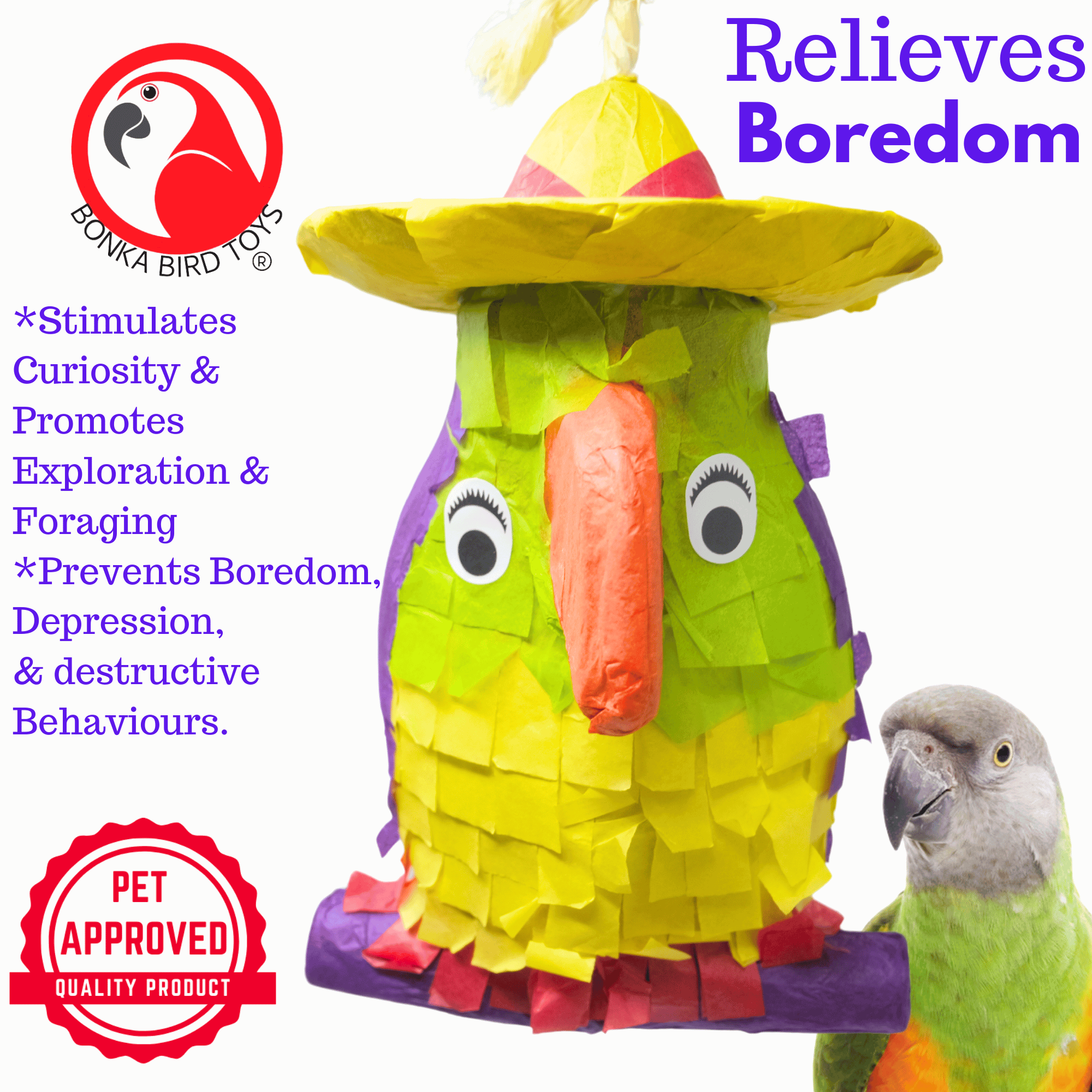 2587 Pinata Parrot - Bonka Bird Toys