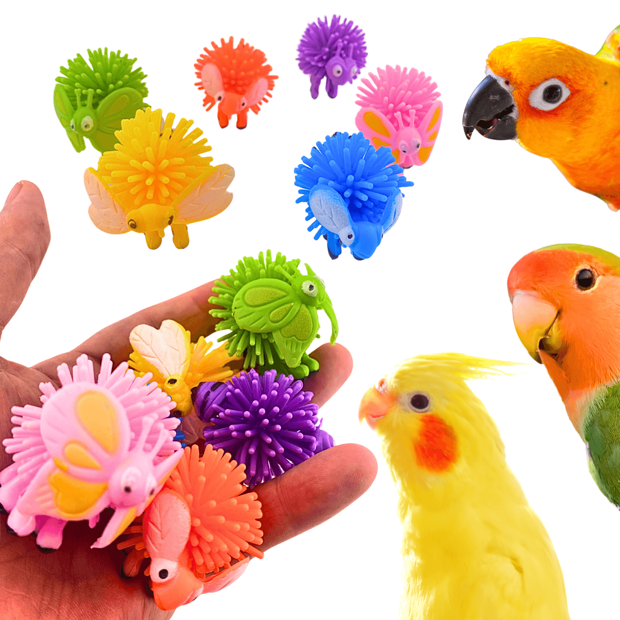 3183 Pk6 Spike Bugs - Bonka Bird Toys
