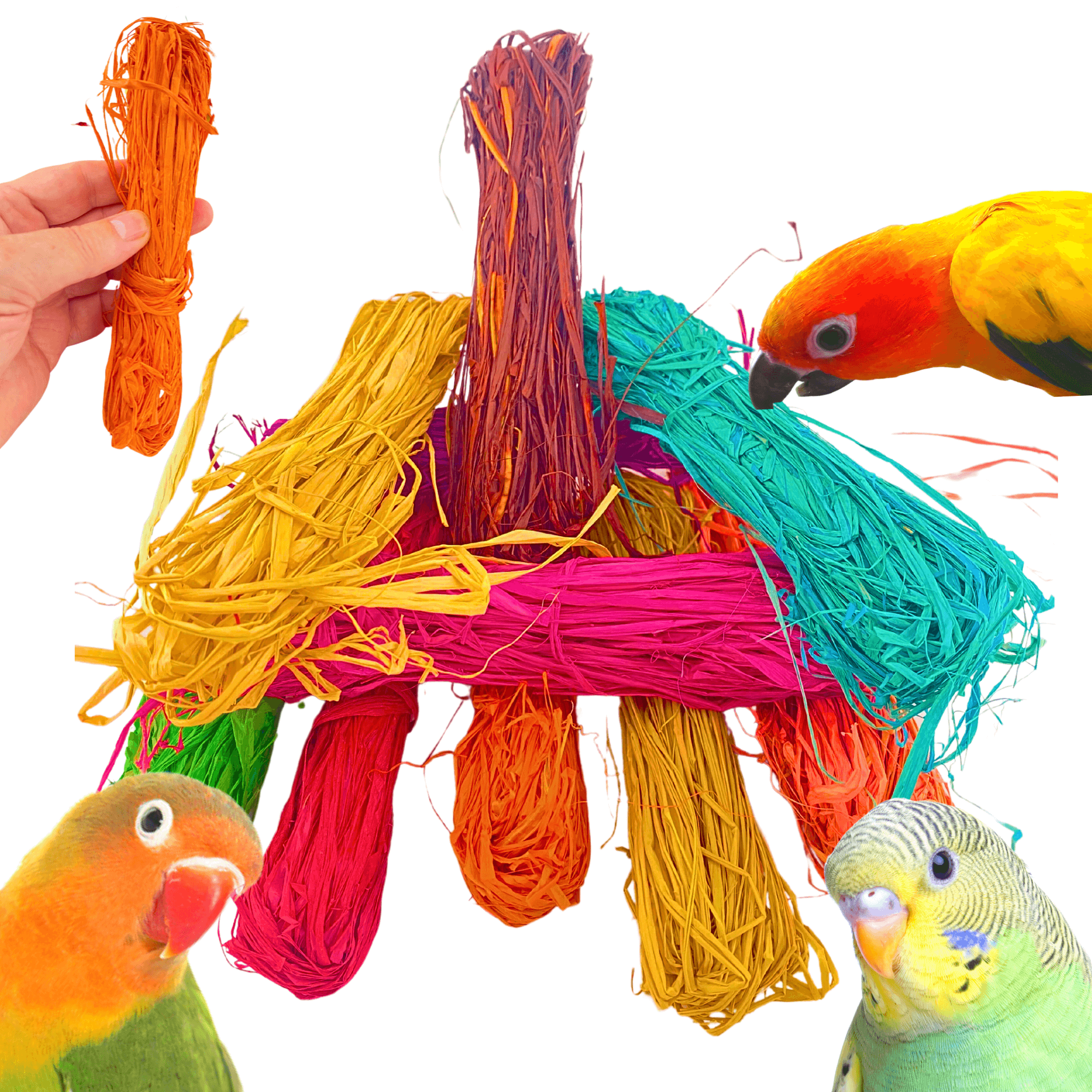 1153 Pk1 Raffia Bundle - Bonka Bird Toys