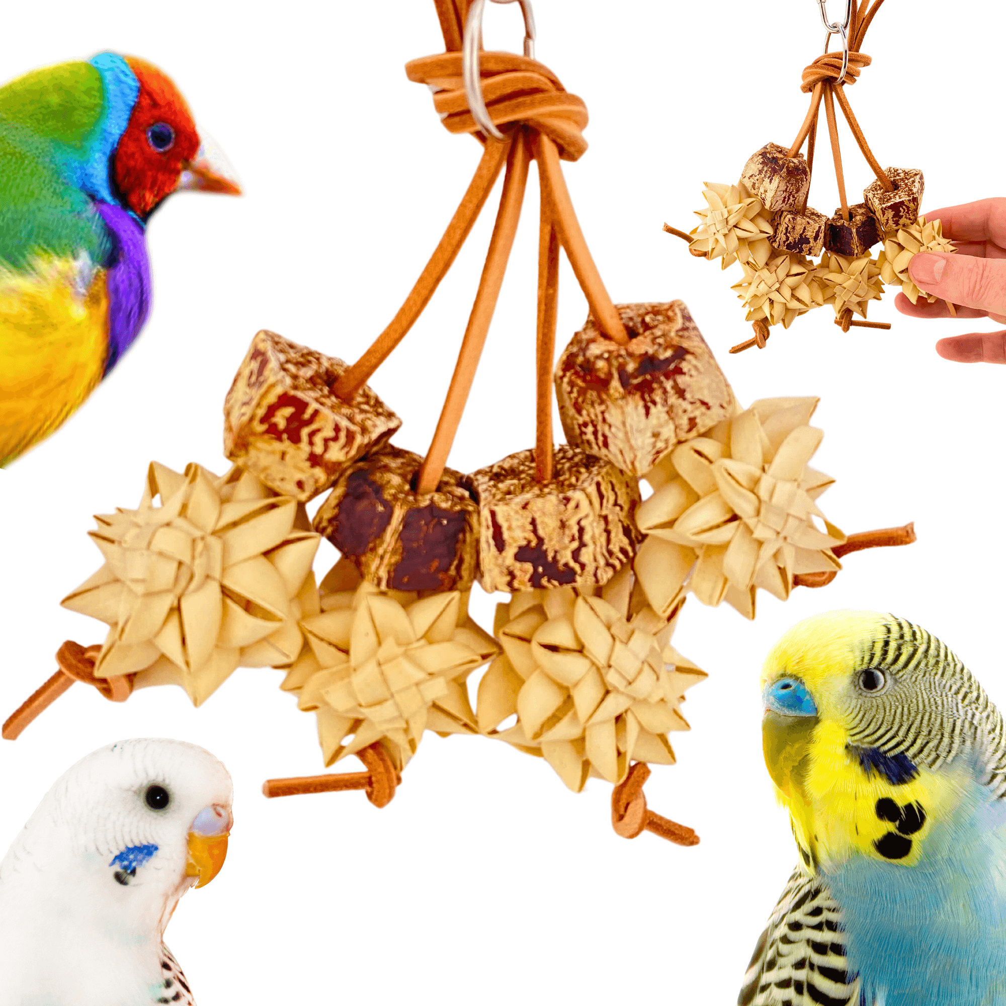 1056 Palm & Pod Forage Cluster - Bonka Bird Toys