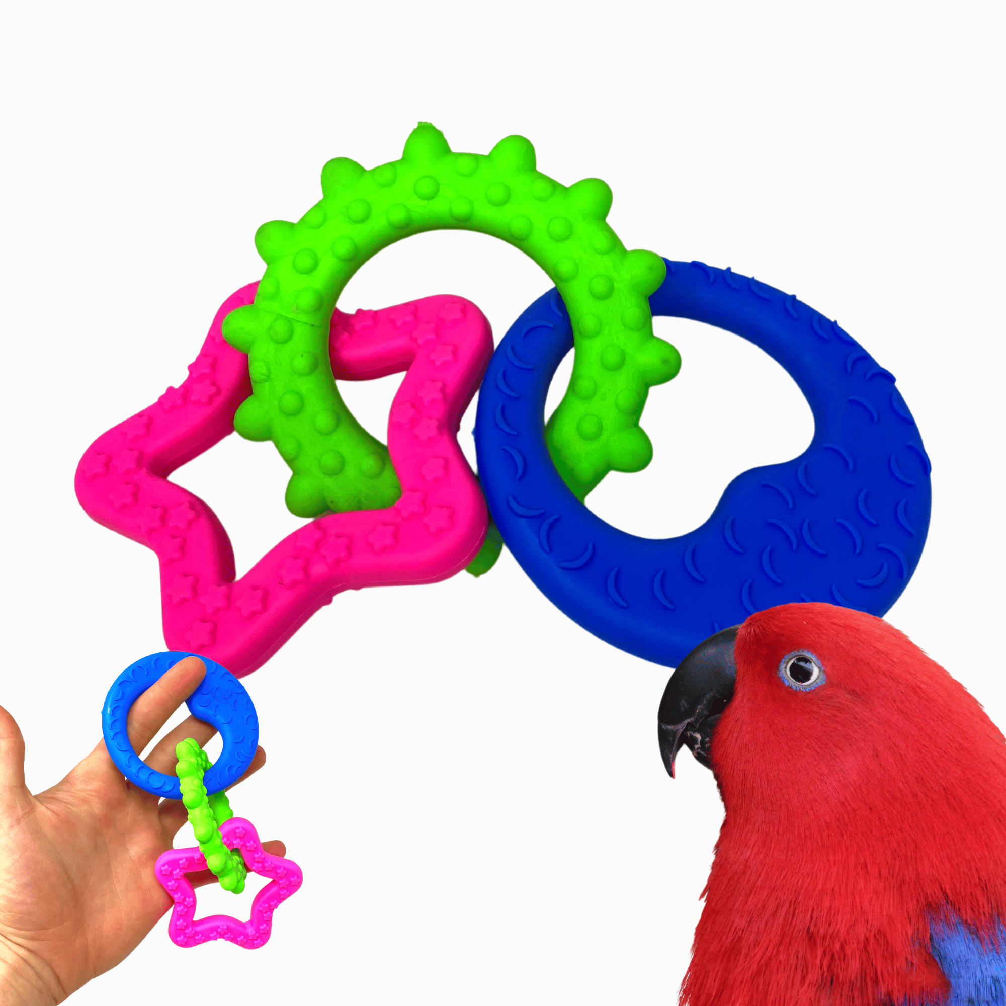 Ring-a-Ding Foot Talon Toys - Bonka Bird Toys