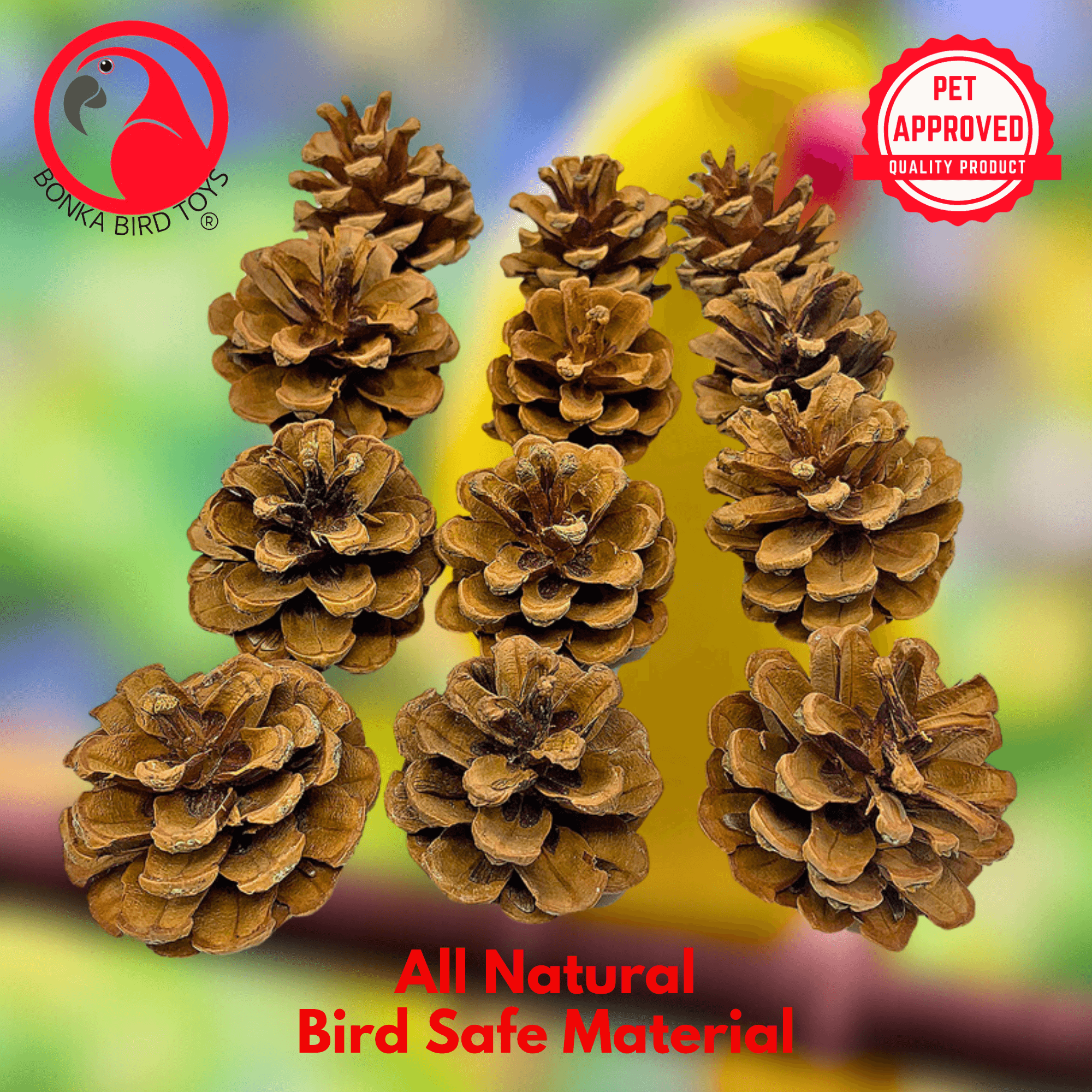 3284 Pk12 Natural Pinecones - Bonka Bird Toys