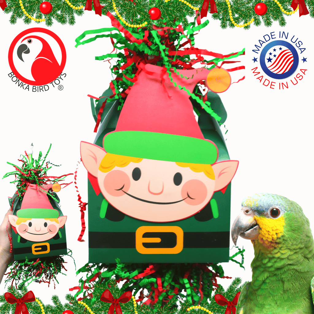 Assorted Christmas Holiday Cheer Boxes - Bonka Bird Toys