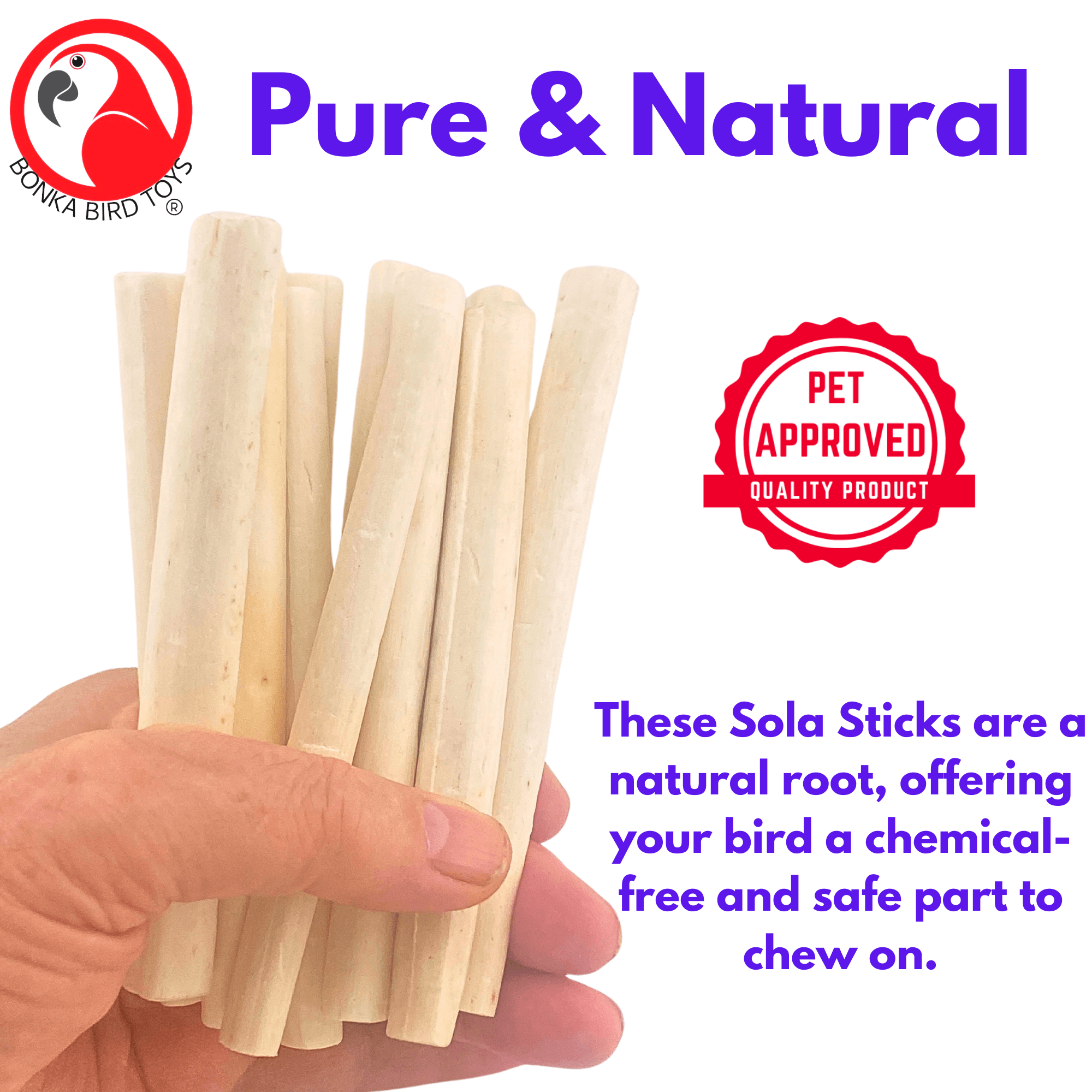 2637 Pk12 Thin Natural Sola Sticks - Bonka Bird Toys
