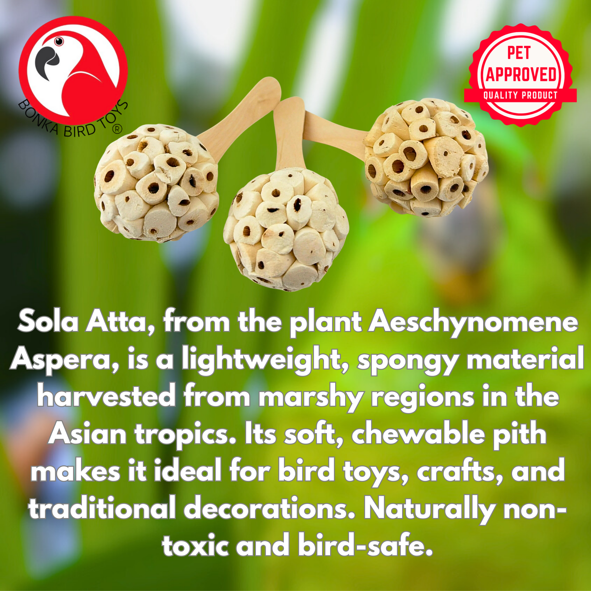 2964 PK3 Natural Sola Pop - Bonka Bird Toys