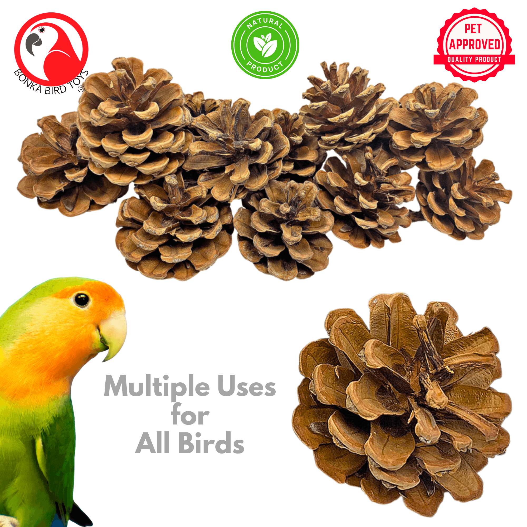 3284 Pk12 Natural Pinecones - Bonka Bird Toys