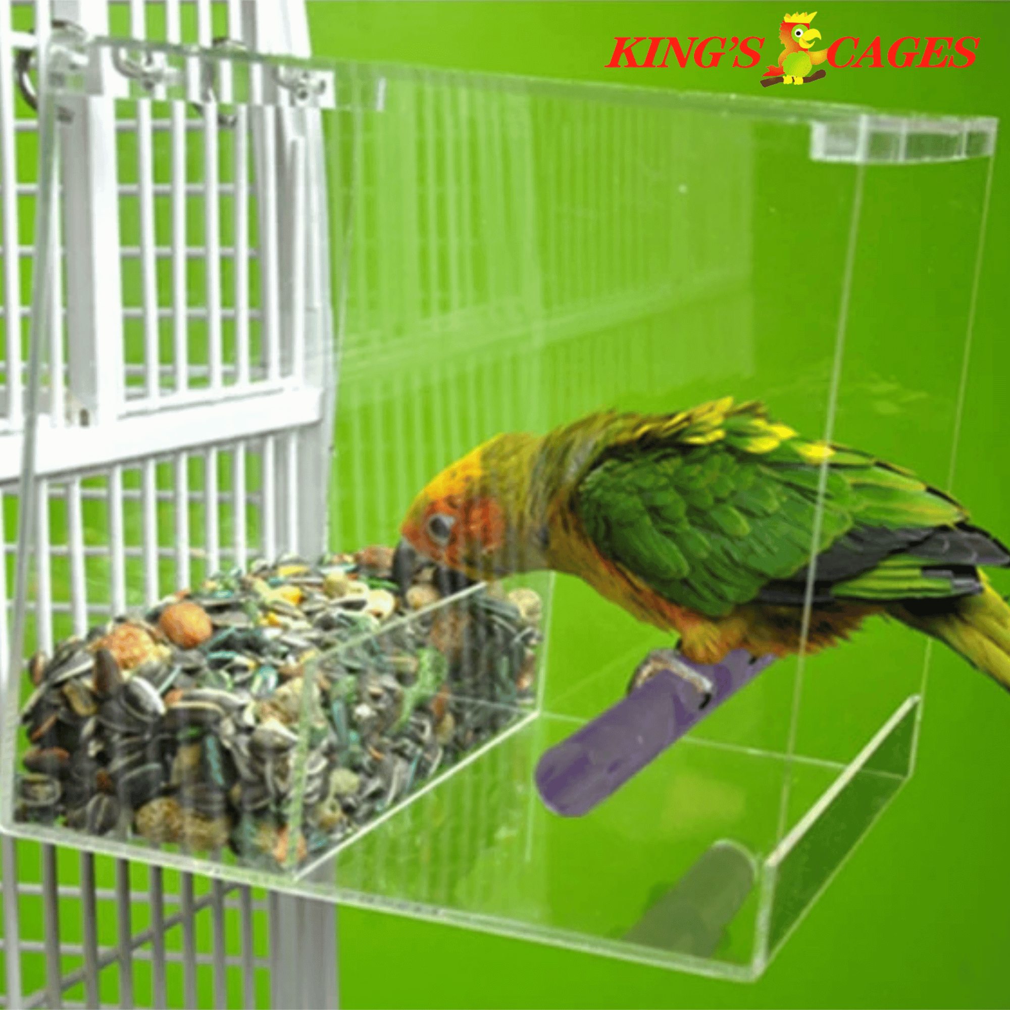 Large Tweeky Clean Bird Seed Feeder On Sale! - Bonka Bird Toys