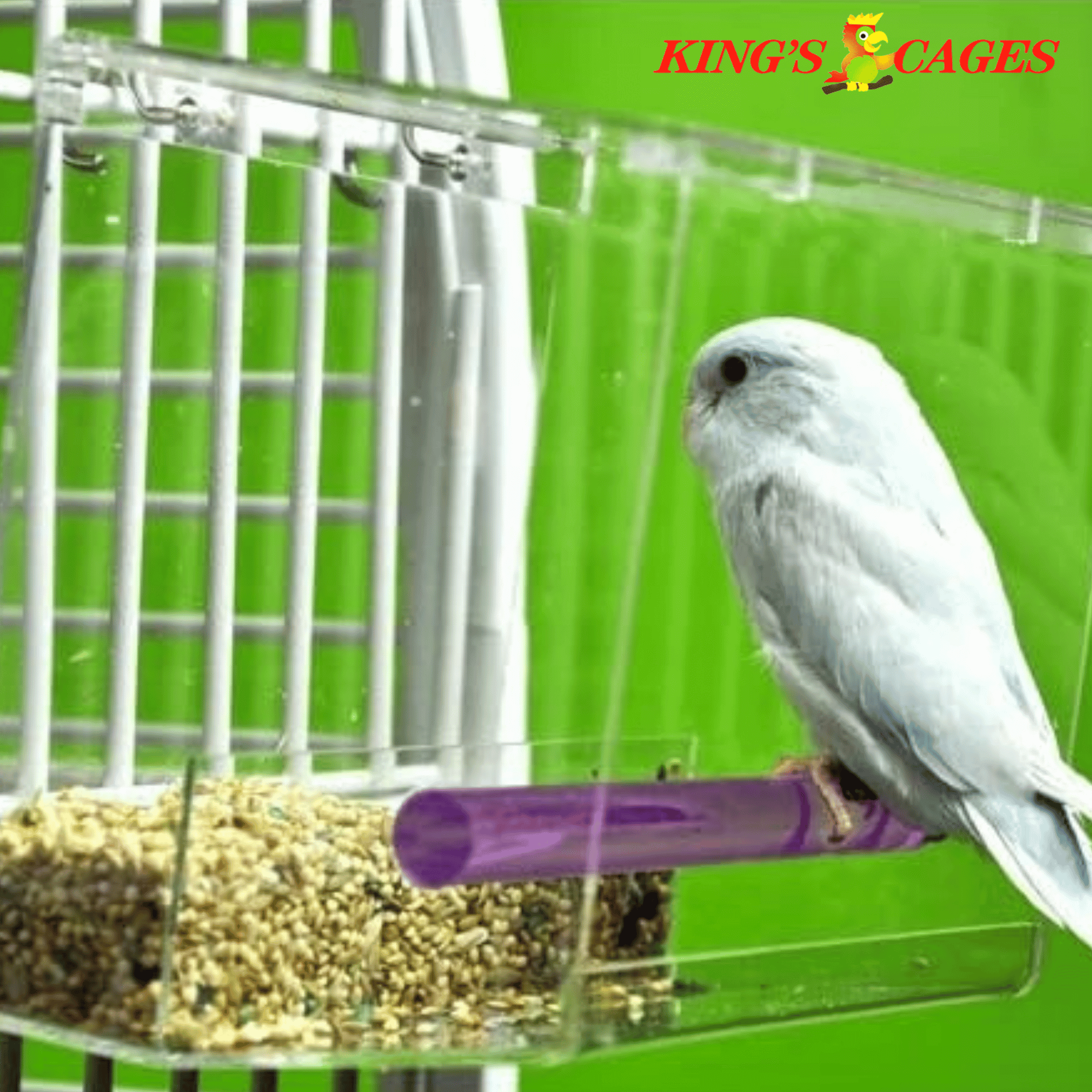 Small Tweeky Clean Tidy Bird Feeder - Bonka Bird Toys