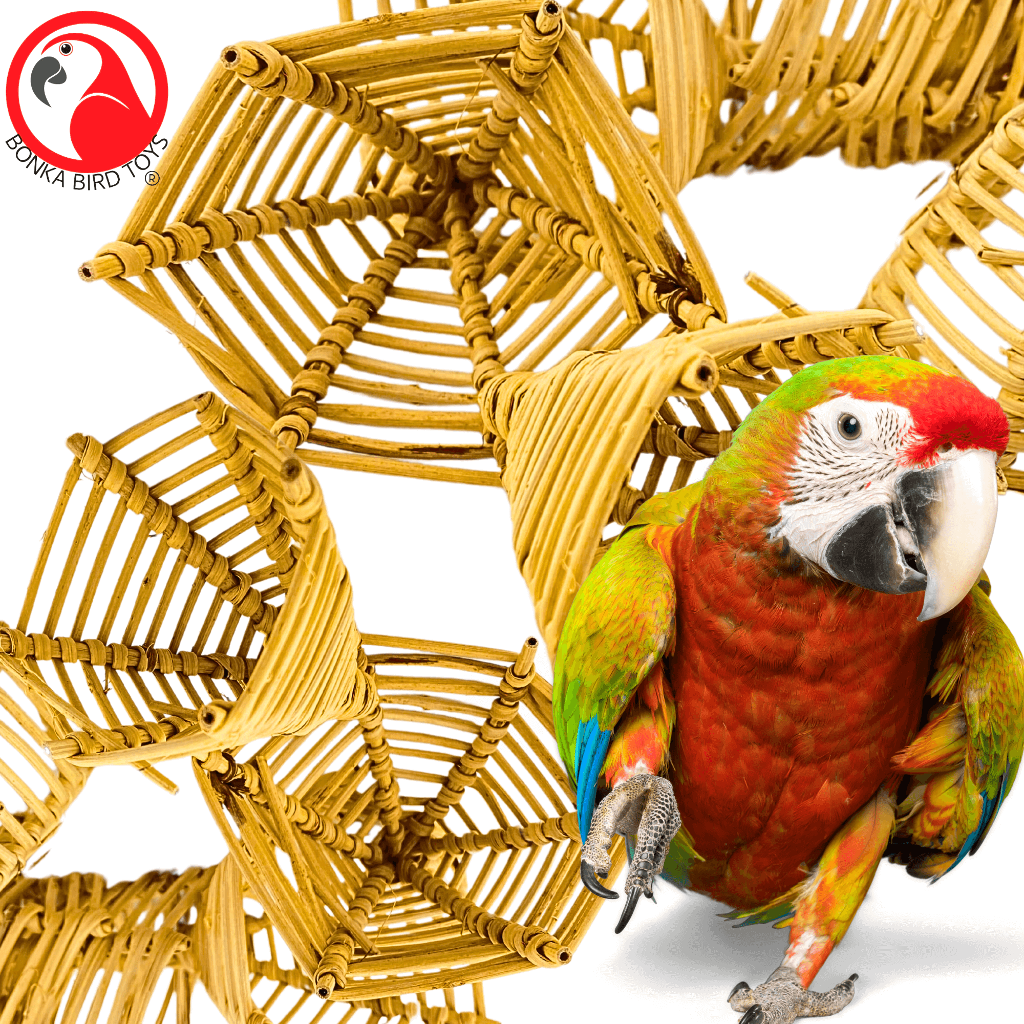 3342 Pk6 Vine Caps - Bonka Bird Toys