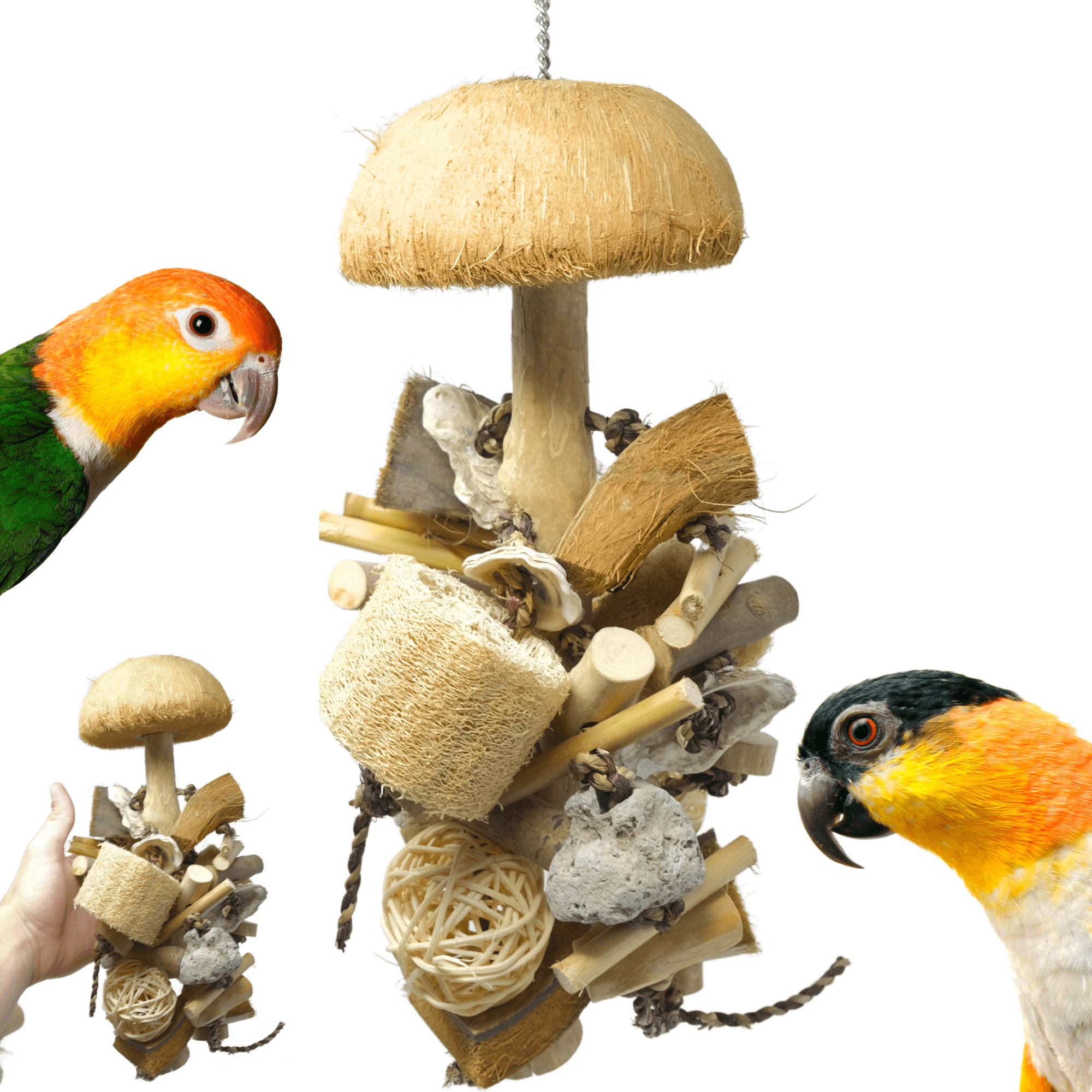 2668 Small Coco Loco - Bonka Bird Toys