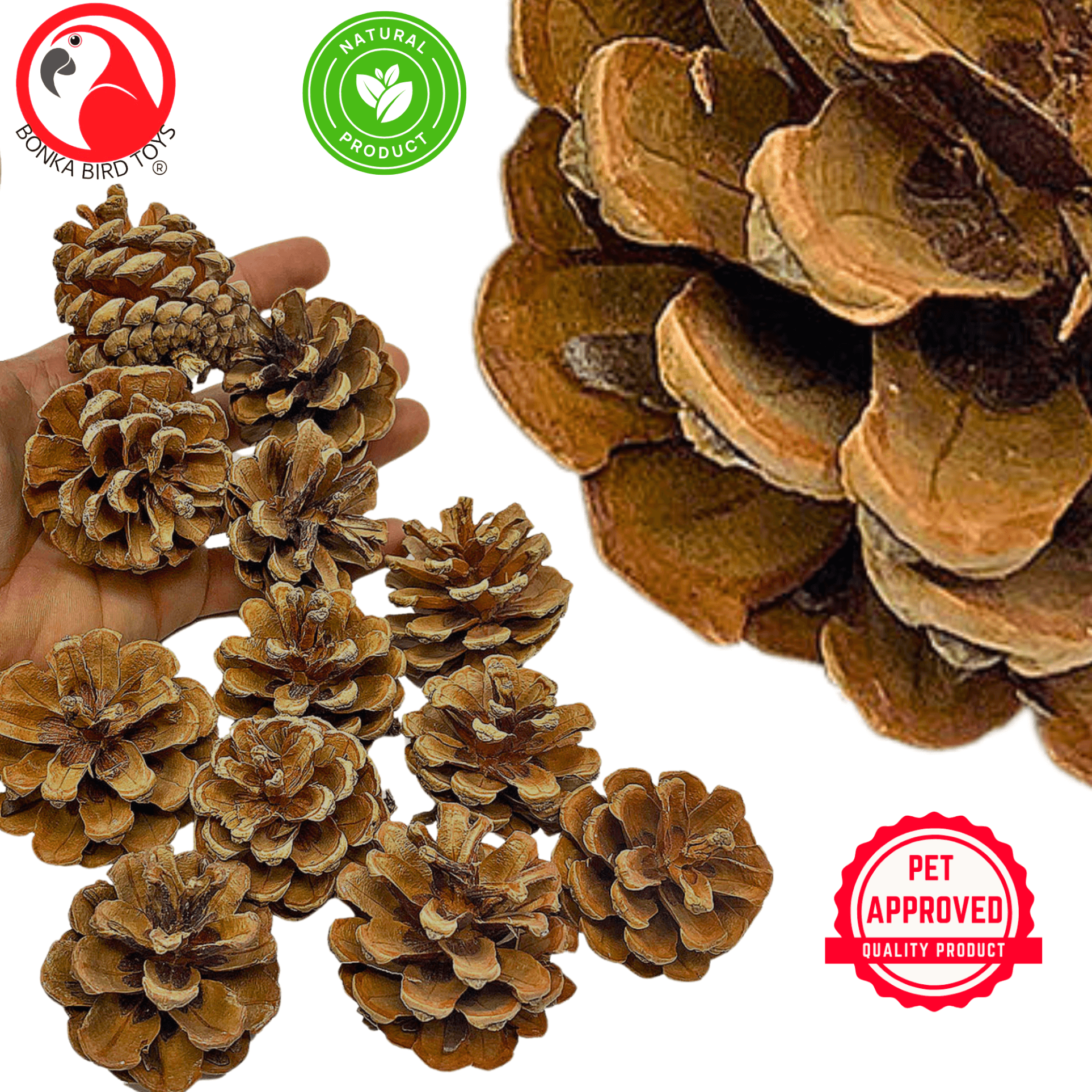 3284 Pk12 Natural Pinecones - Bonka Bird Toys