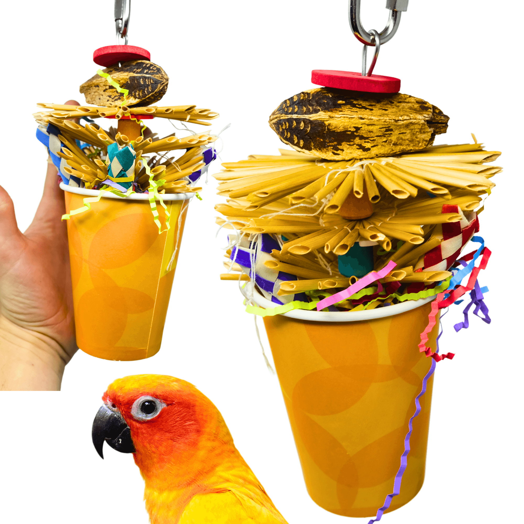 2641 Party Cup - Bonka Bird Toys