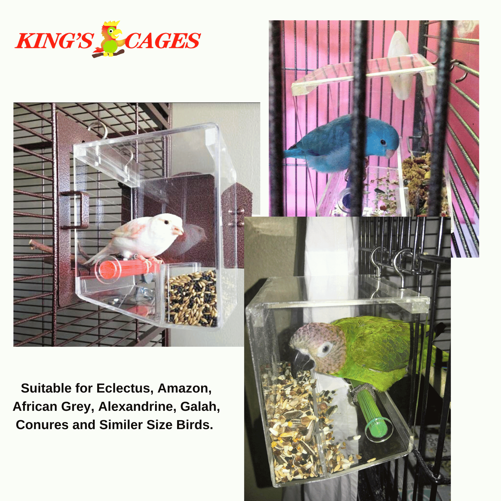 Small Tweeky Clean Tidy Bird Feeder - Bonka Bird Toys