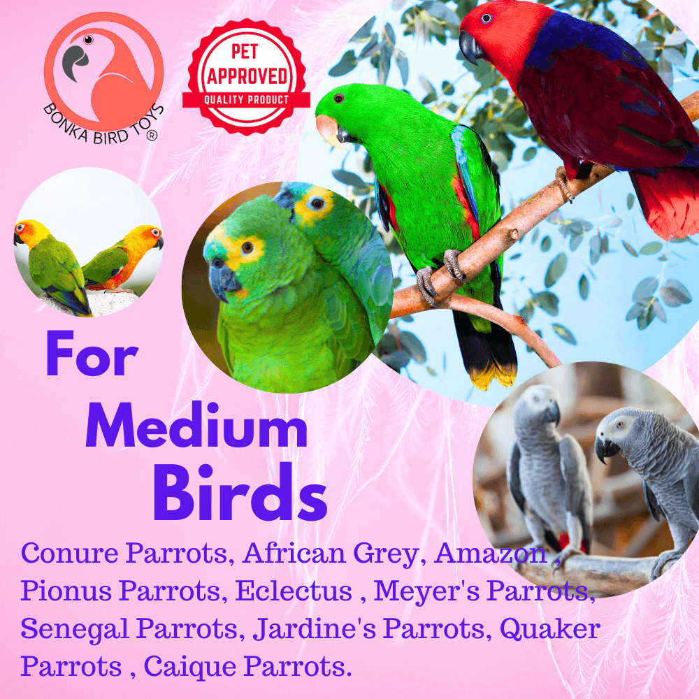 1060 Rainbow Chain Swing - Bonka Bird Toys