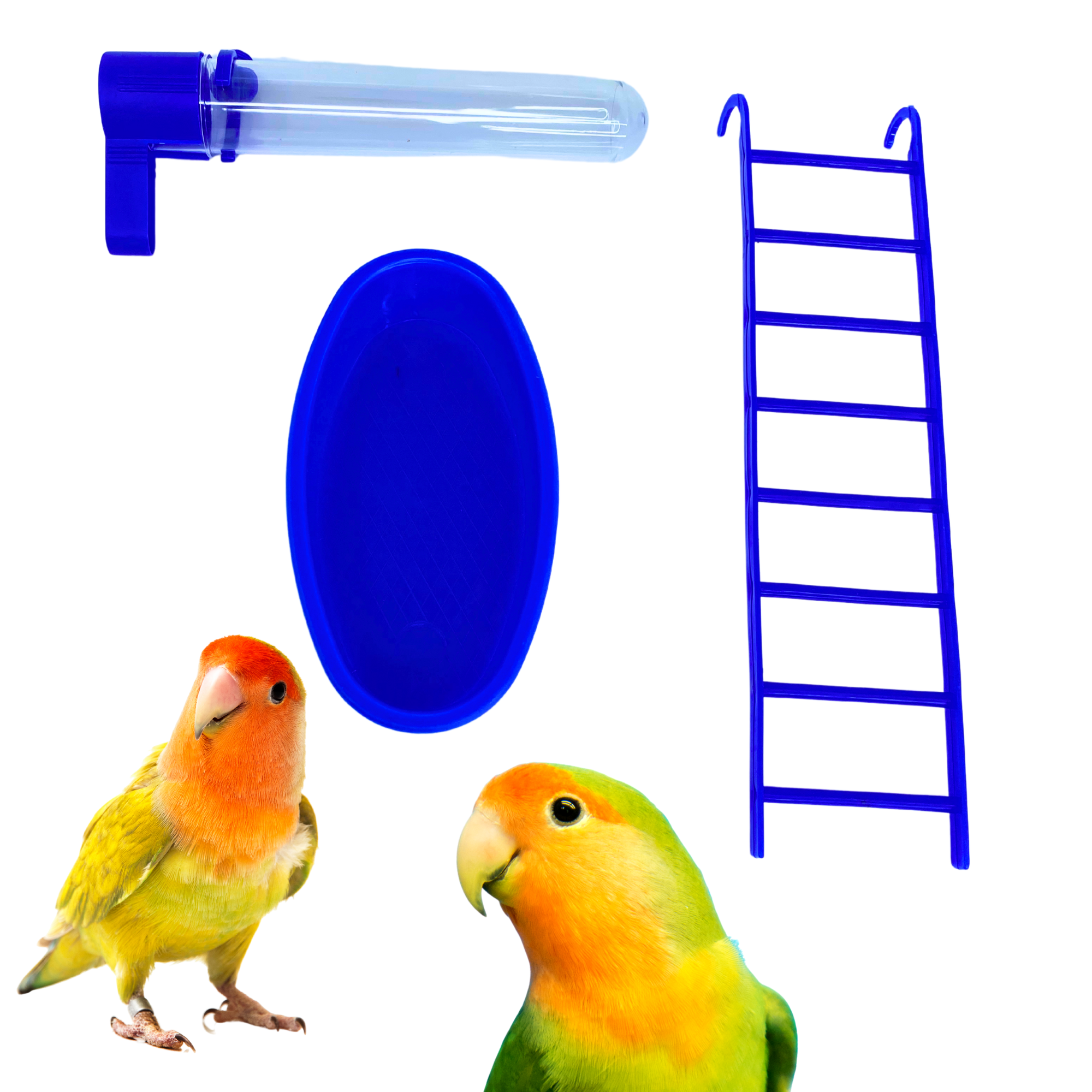 3861 Pk3 Combo Small Bird Set - Bonka Bird Toys