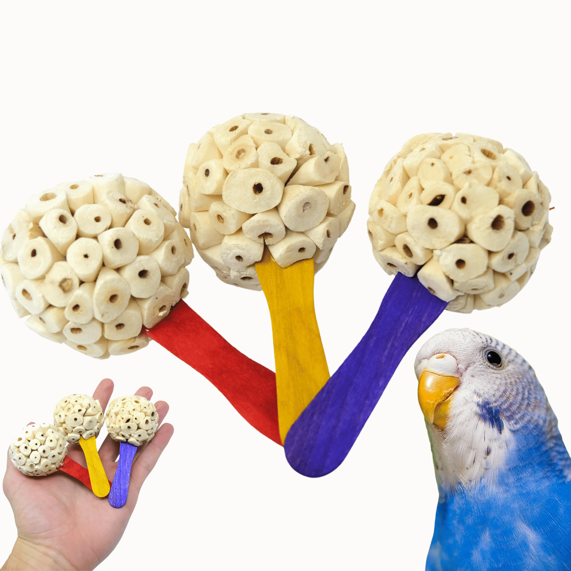 2964 PK3 Sola Pop - Bonka Bird Toys
