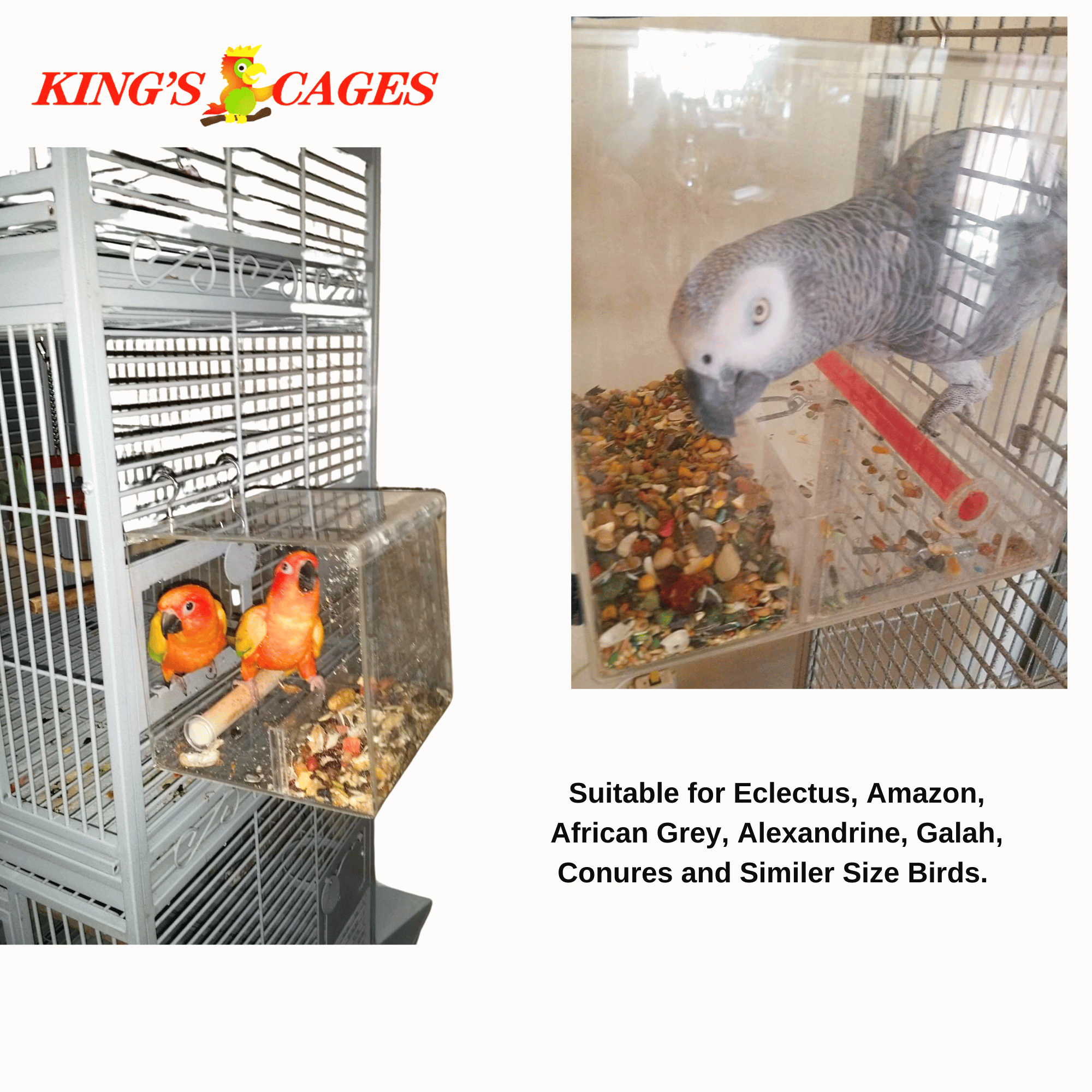 Large Tweeky Clean Bird Seed Feeder On Sale! - Bonka Bird Toys