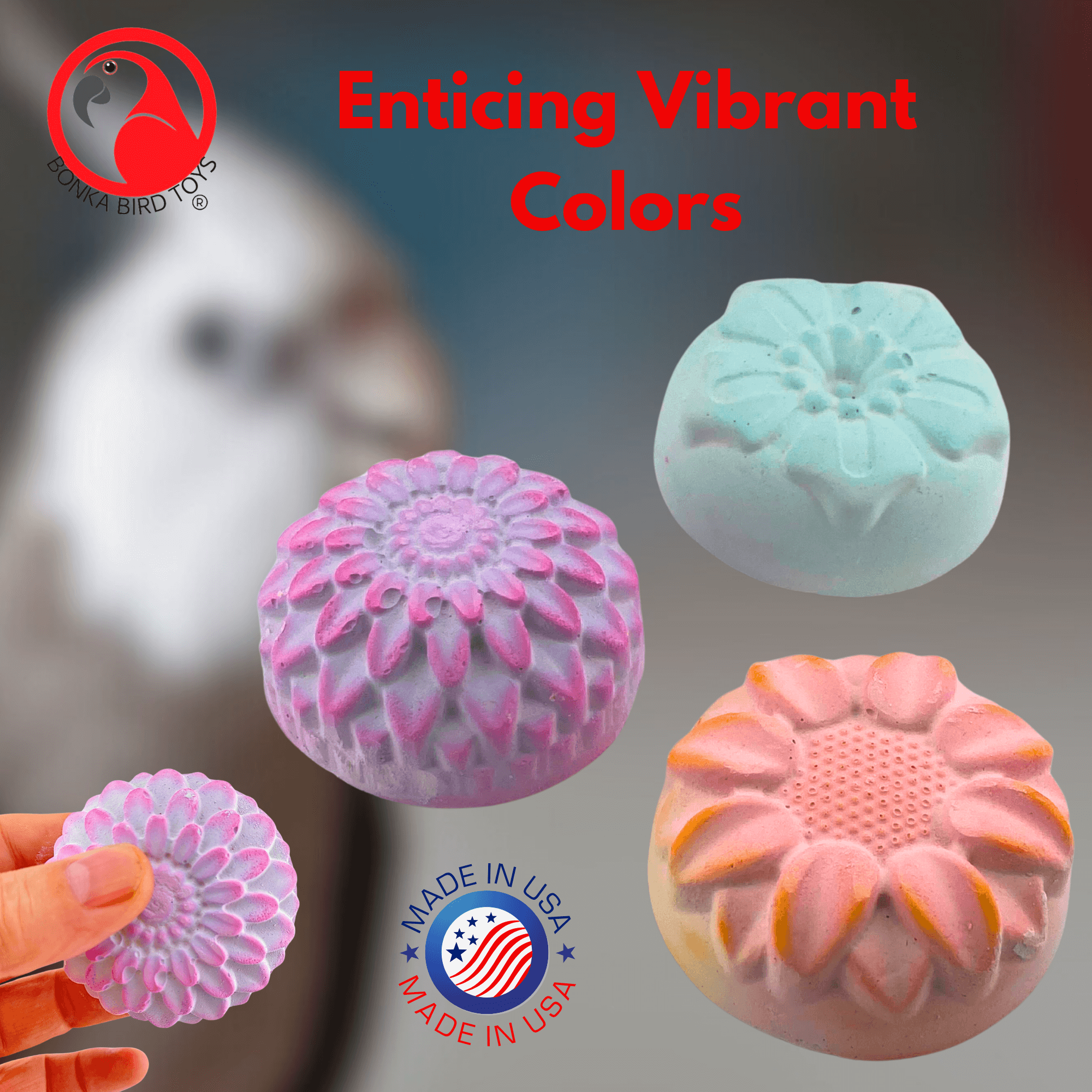 2860 Flower Power Calcium Treats - Bonka Bird Toys