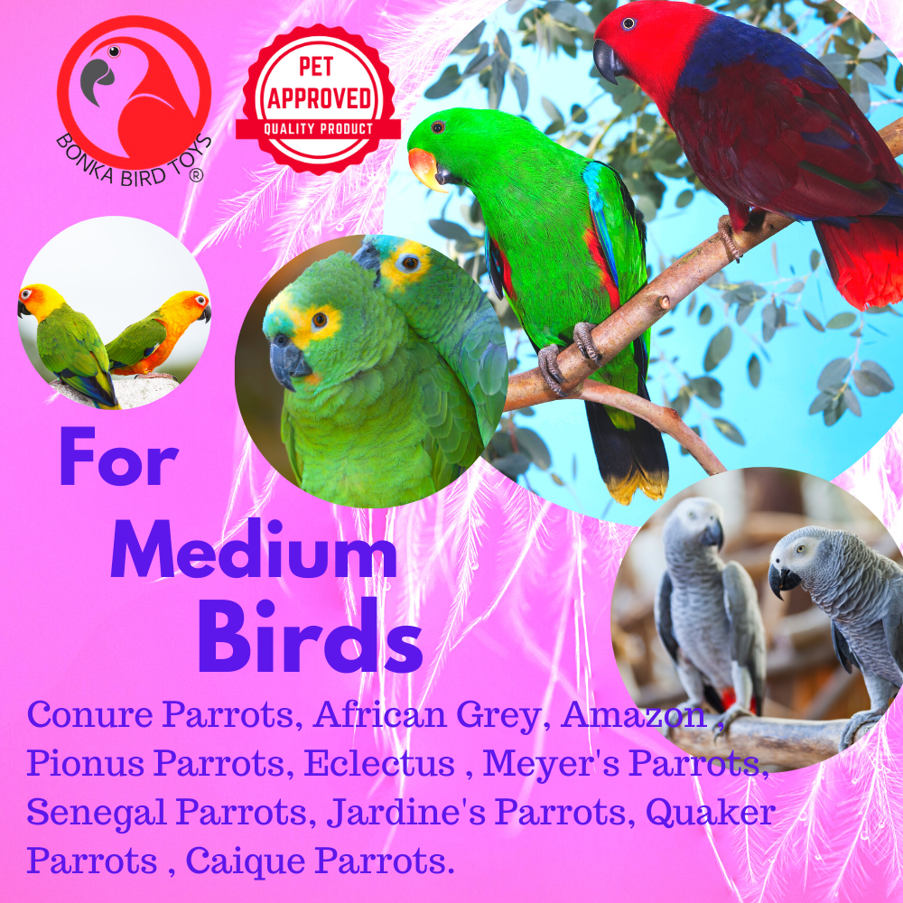 2181 Duo Ball Swivel - Bonka Bird Toys