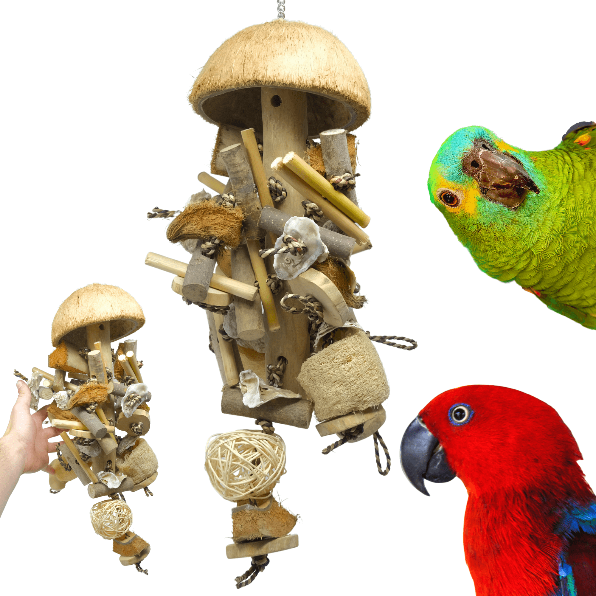 2669 Large Coco Loco - Bonka Bird Toys