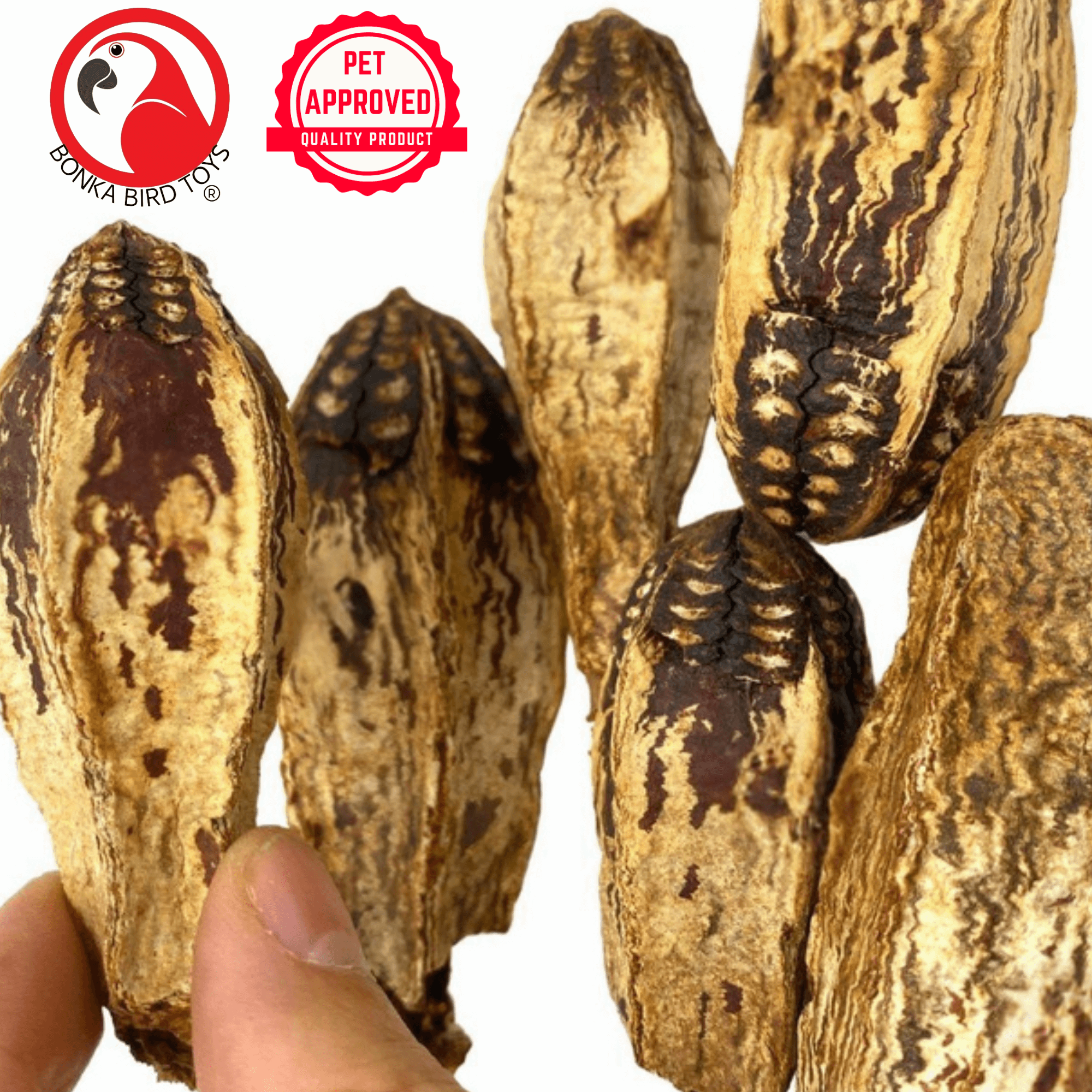 2449 Pk6 Mahogany Pods - Bonka Bird Toys