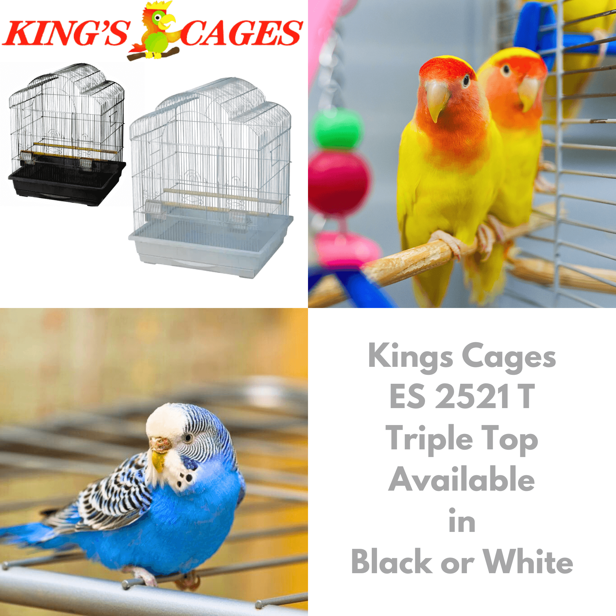 Kings Cages ES 2521 T Triple Top Cage 25X21X30