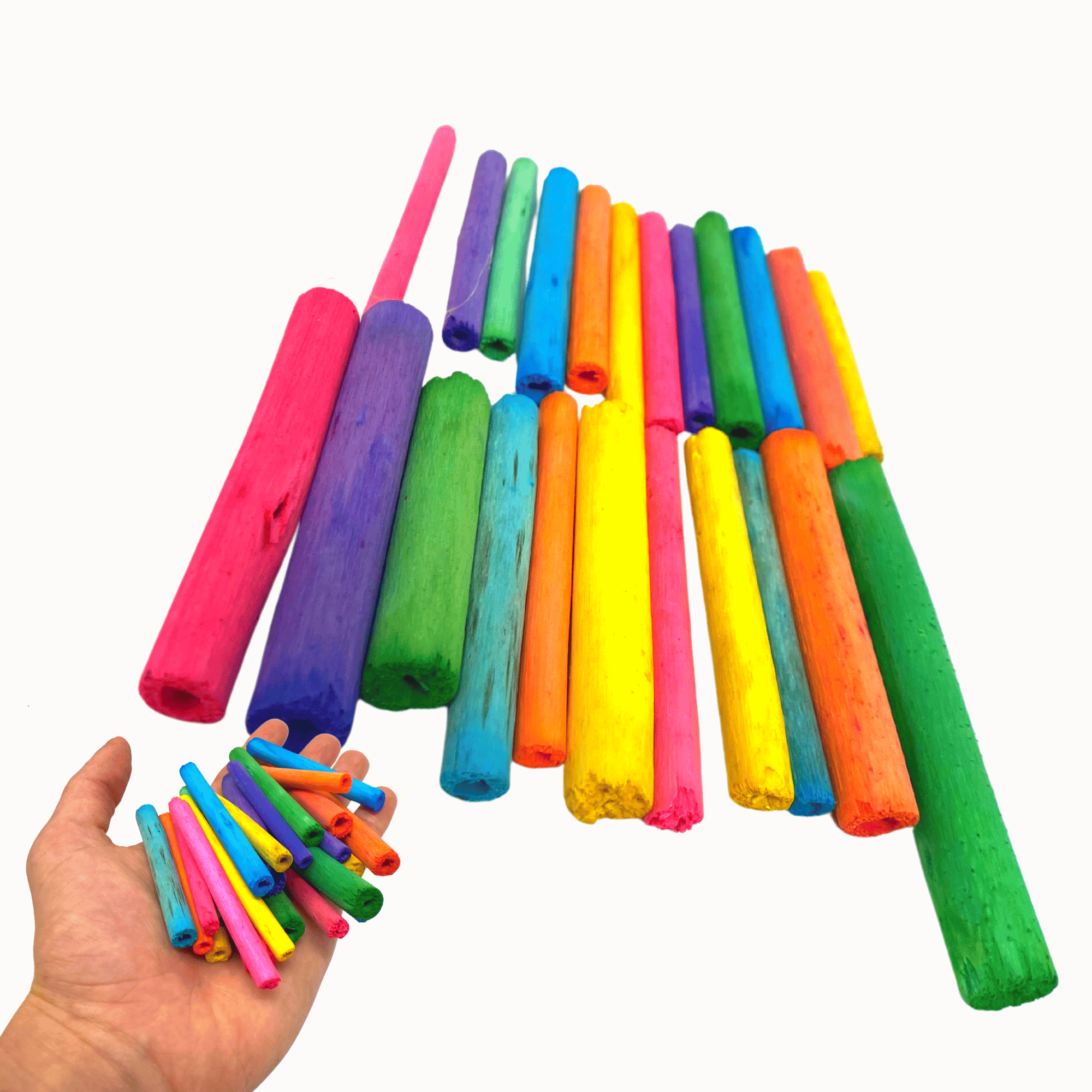 2944 PK24 2" Colored Jute Sticks - Bonka Bird Toys